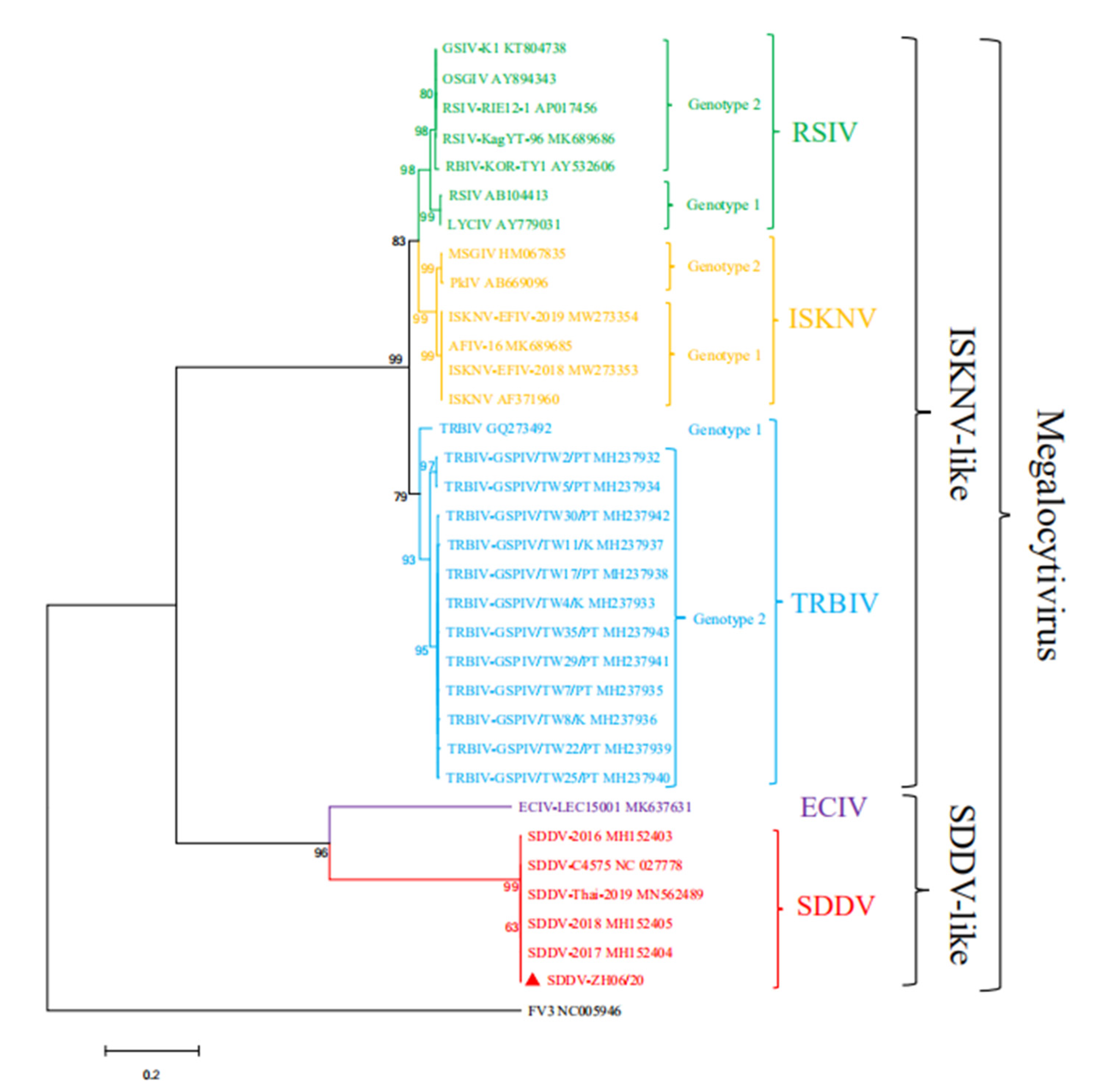 Viruses 13 01617 g005