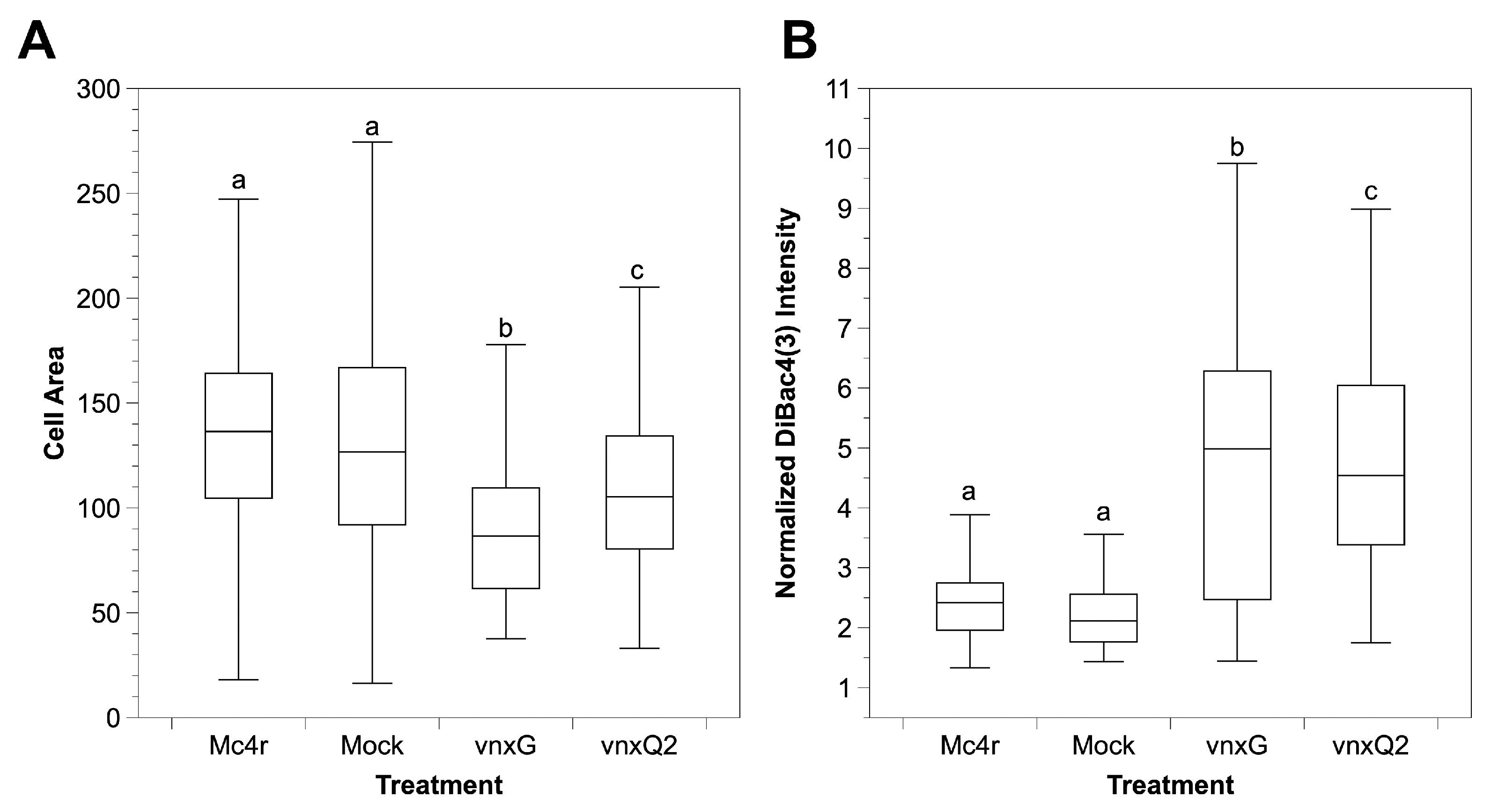 Viruses 13 01621 g005
