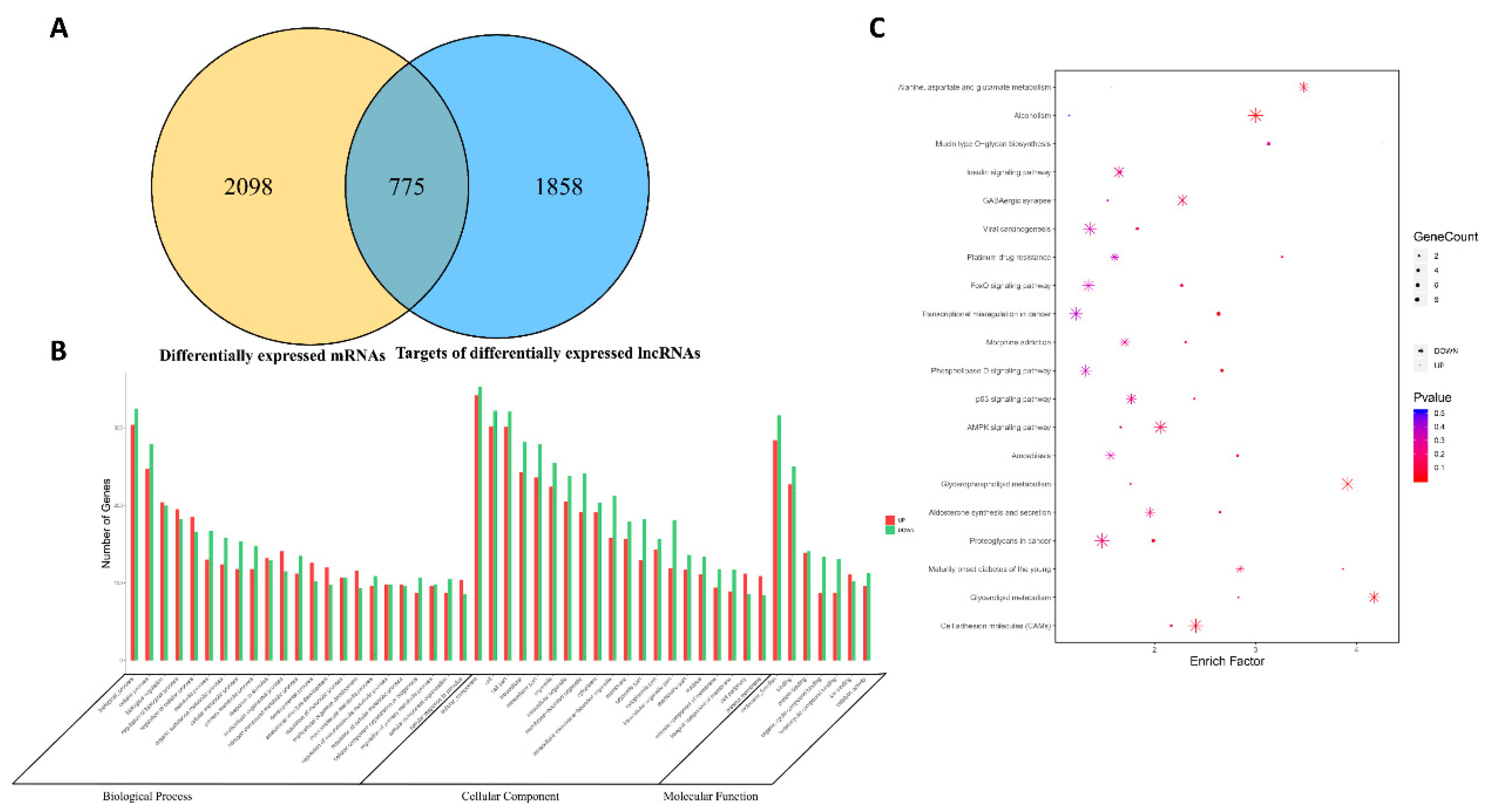 Viruses 13 01623 g004