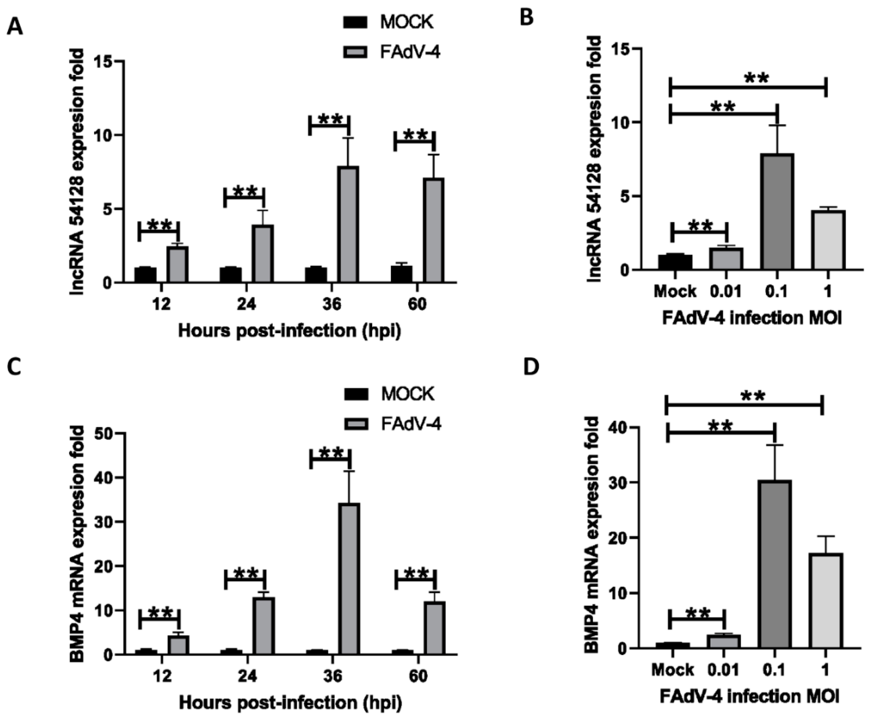 Viruses 13 01623 g005