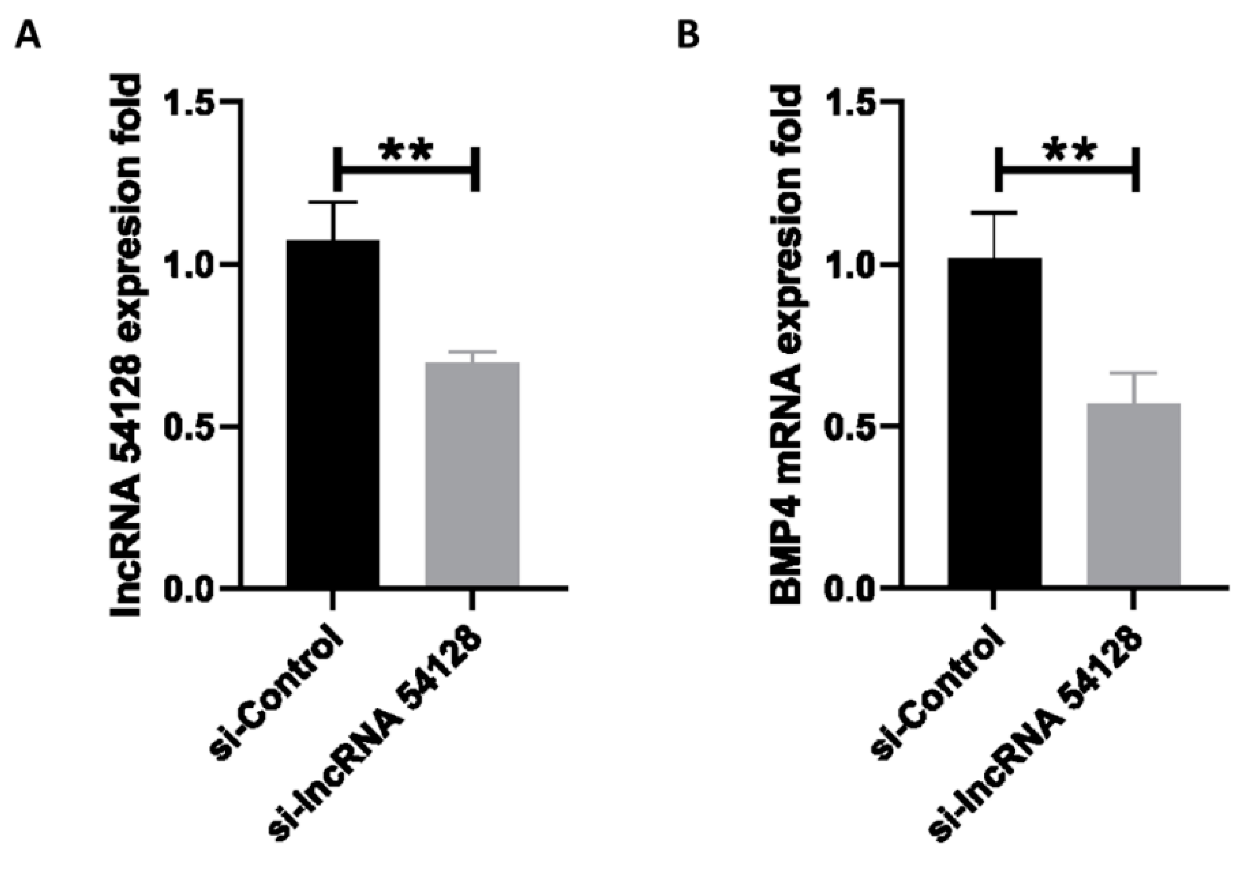 Viruses 13 01623 g006