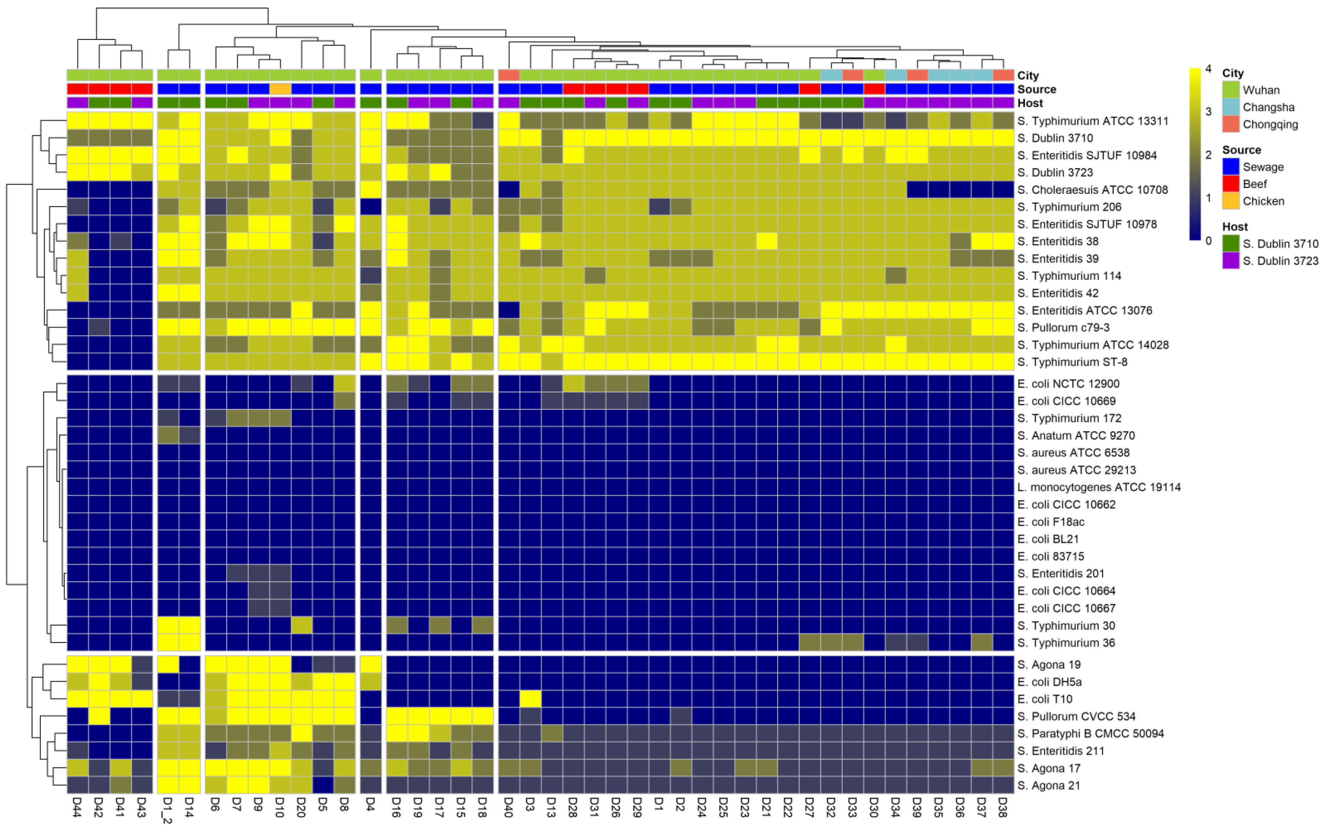 Viruses 13 01626 g001