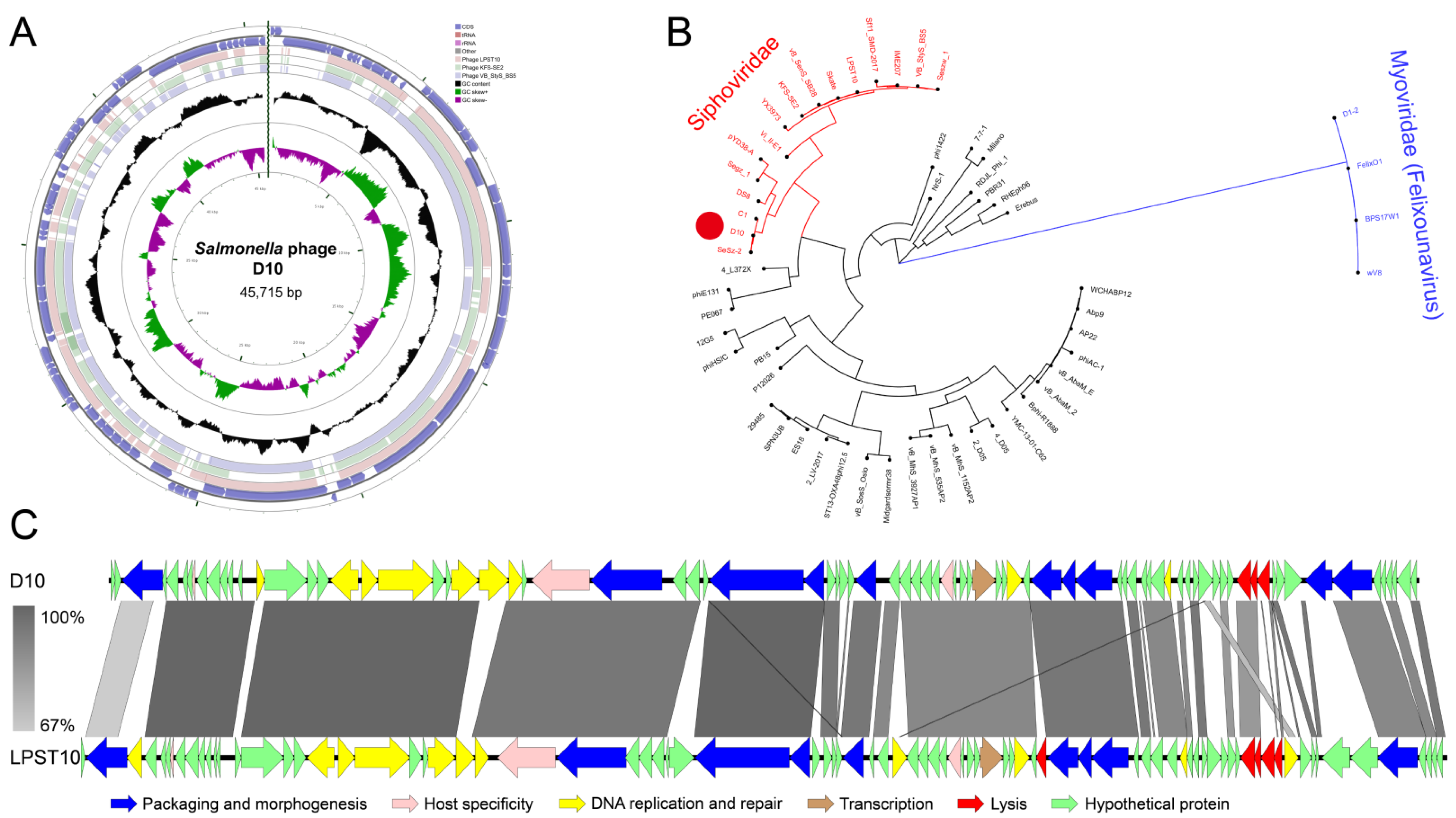 Viruses 13 01626 g005