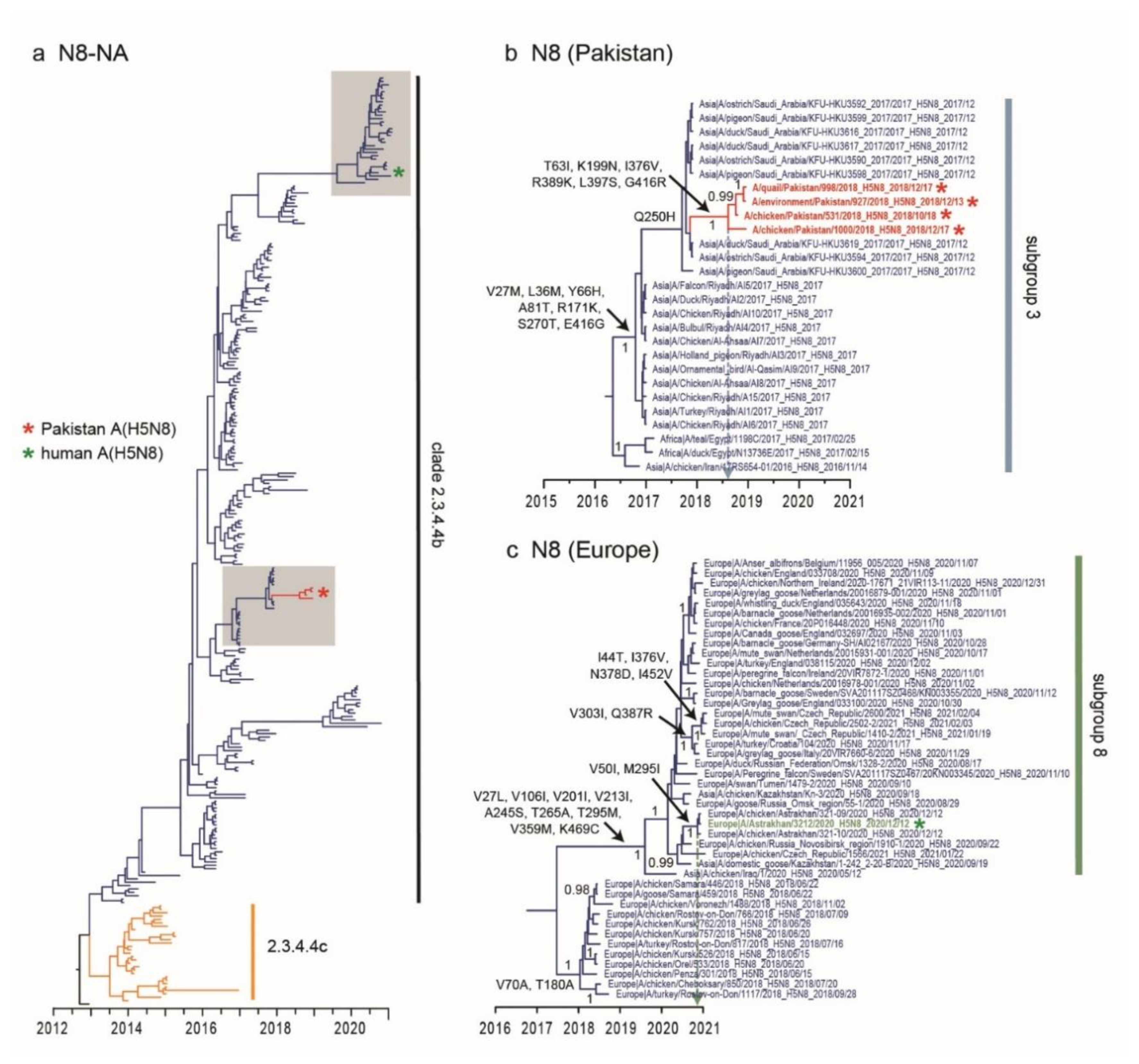 Viruses 13 01633 g003