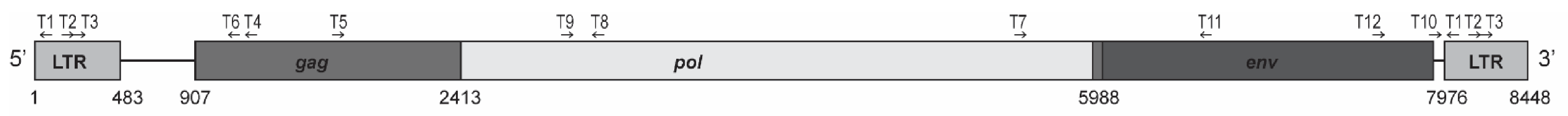 Viruses 13 01636 g002