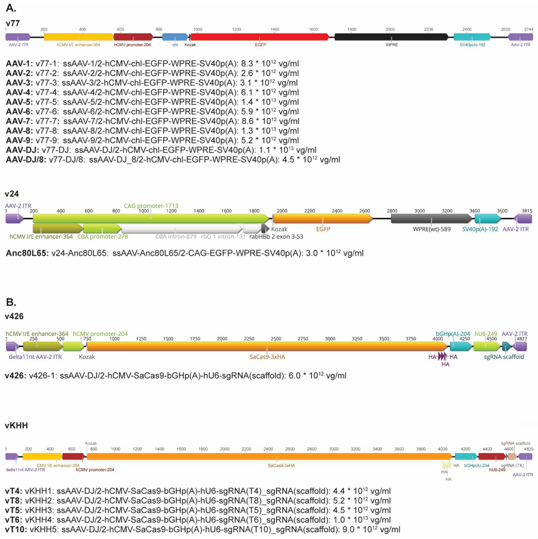 Viruses 13 01636 g0a1