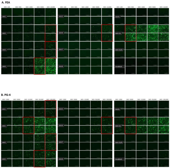 Viruses 13 01636 g0a2a 550