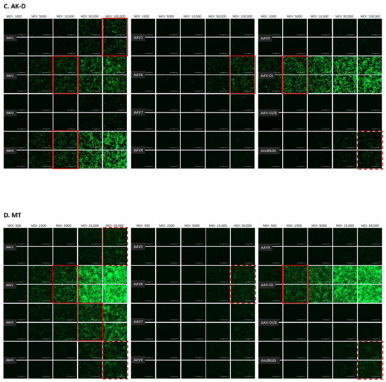Viruses 13 01636 g0a2b 550