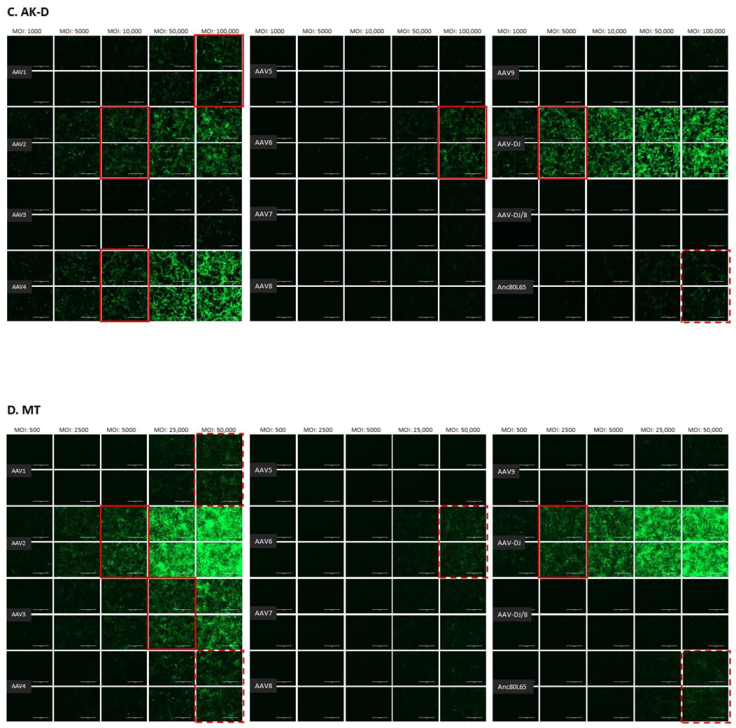 Viruses 13 01636 g0a2b