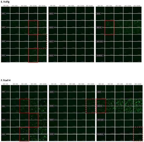 Viruses 13 01636 g0a2c 550
