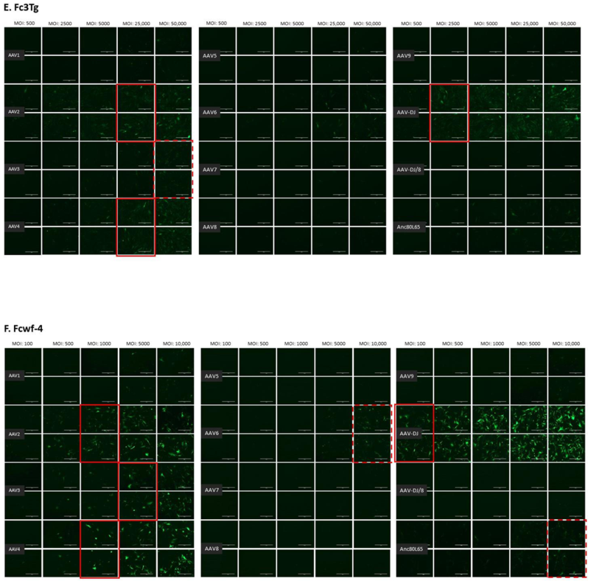 Viruses 13 01636 g0a2c