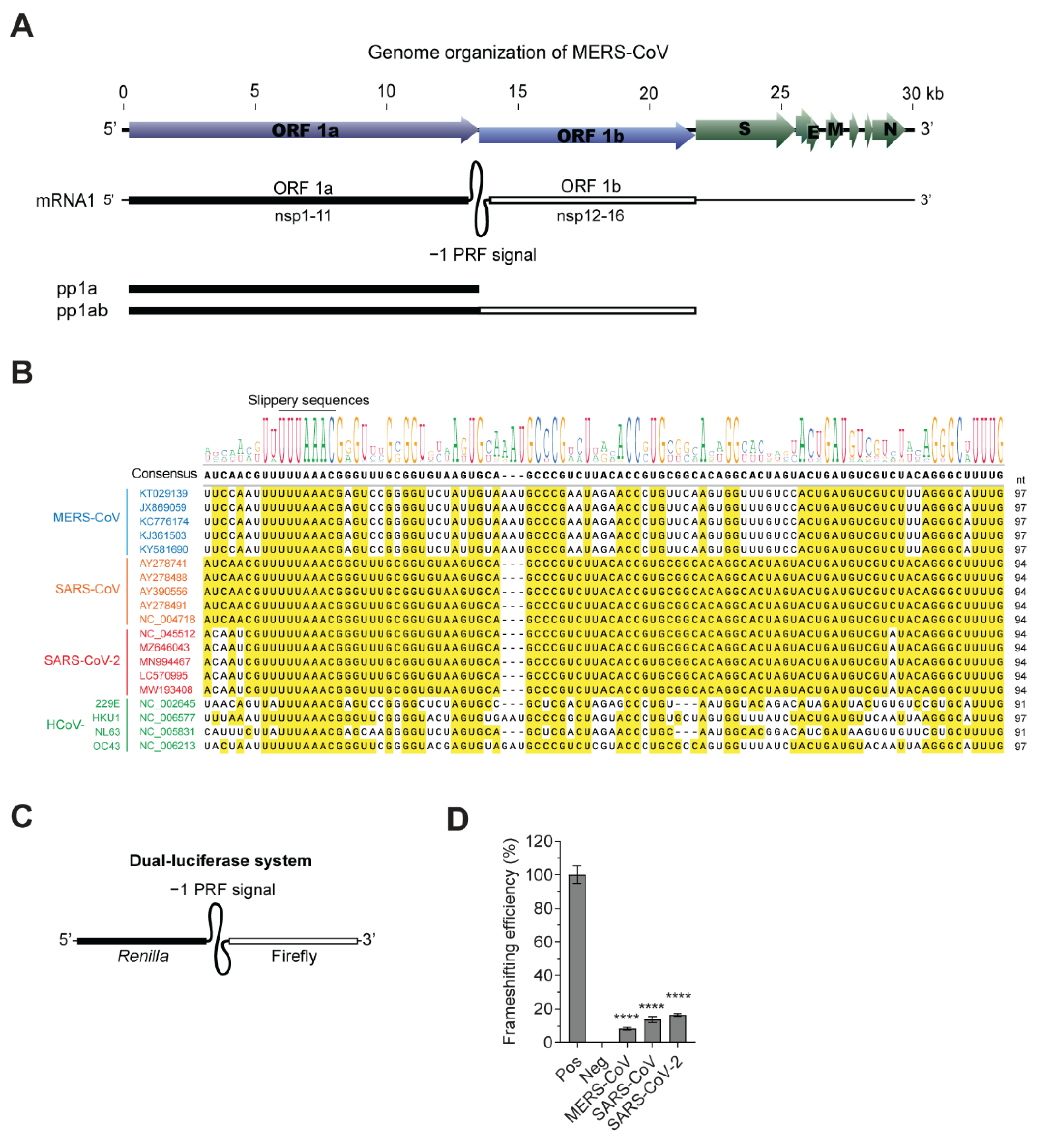 Viruses 13 01639 g001