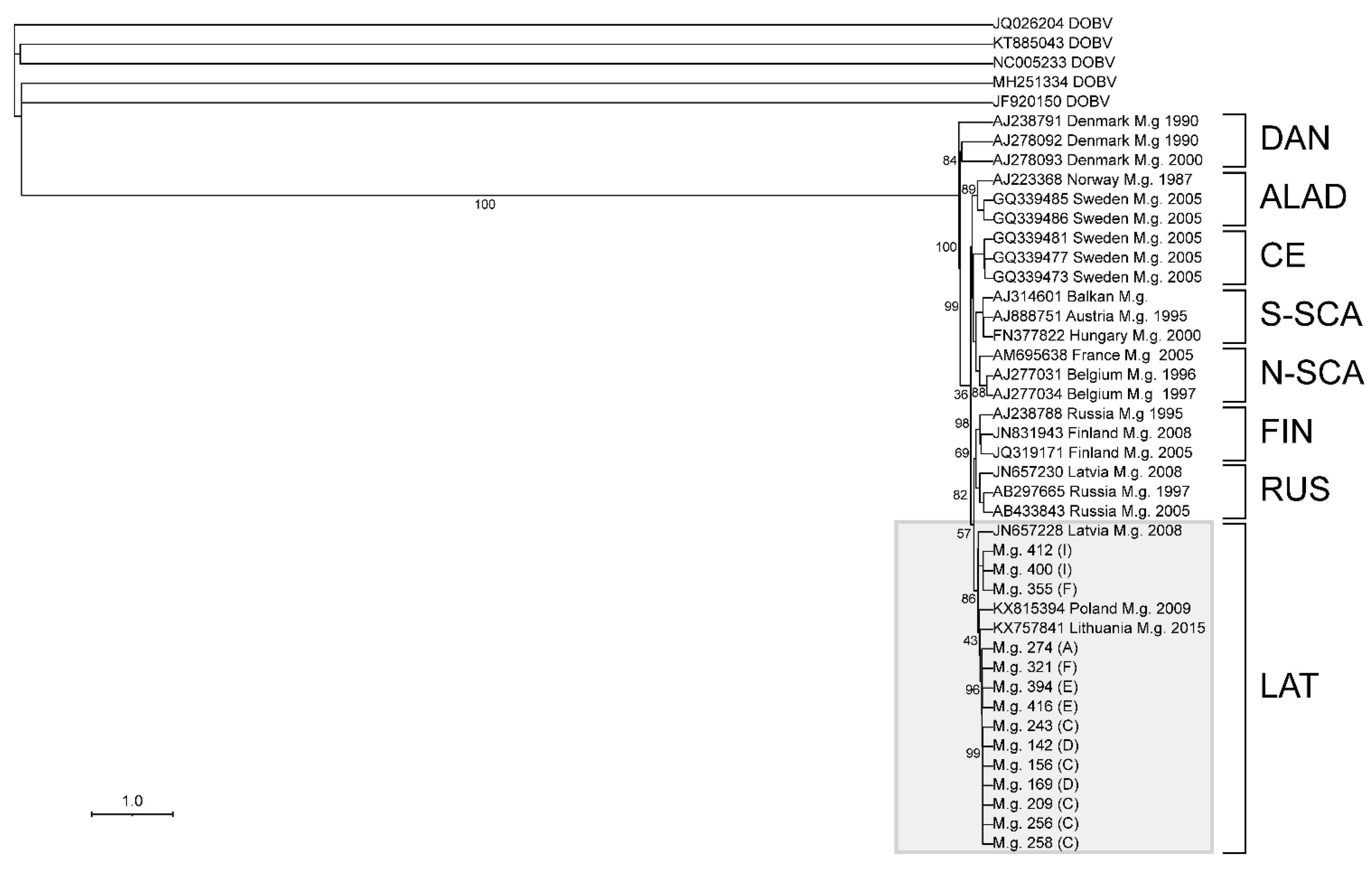 Viruses 13 01640 g004