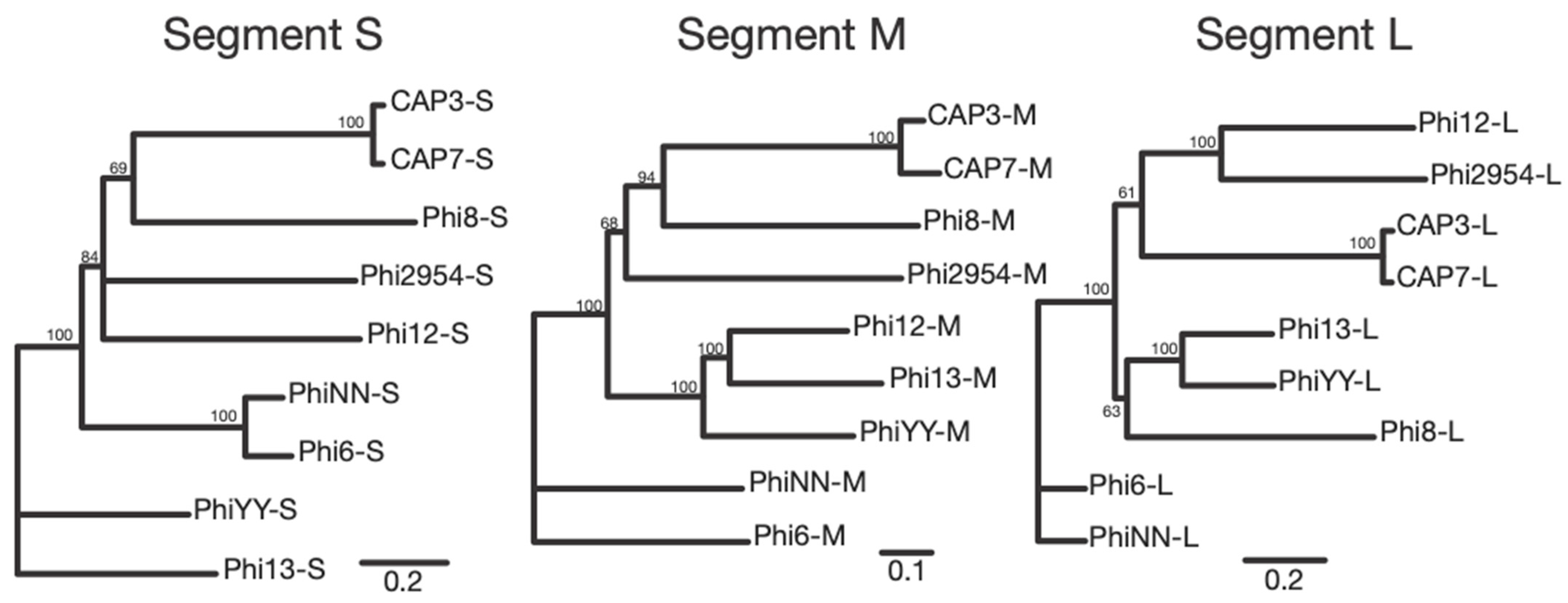 Viruses 13 01652 g006