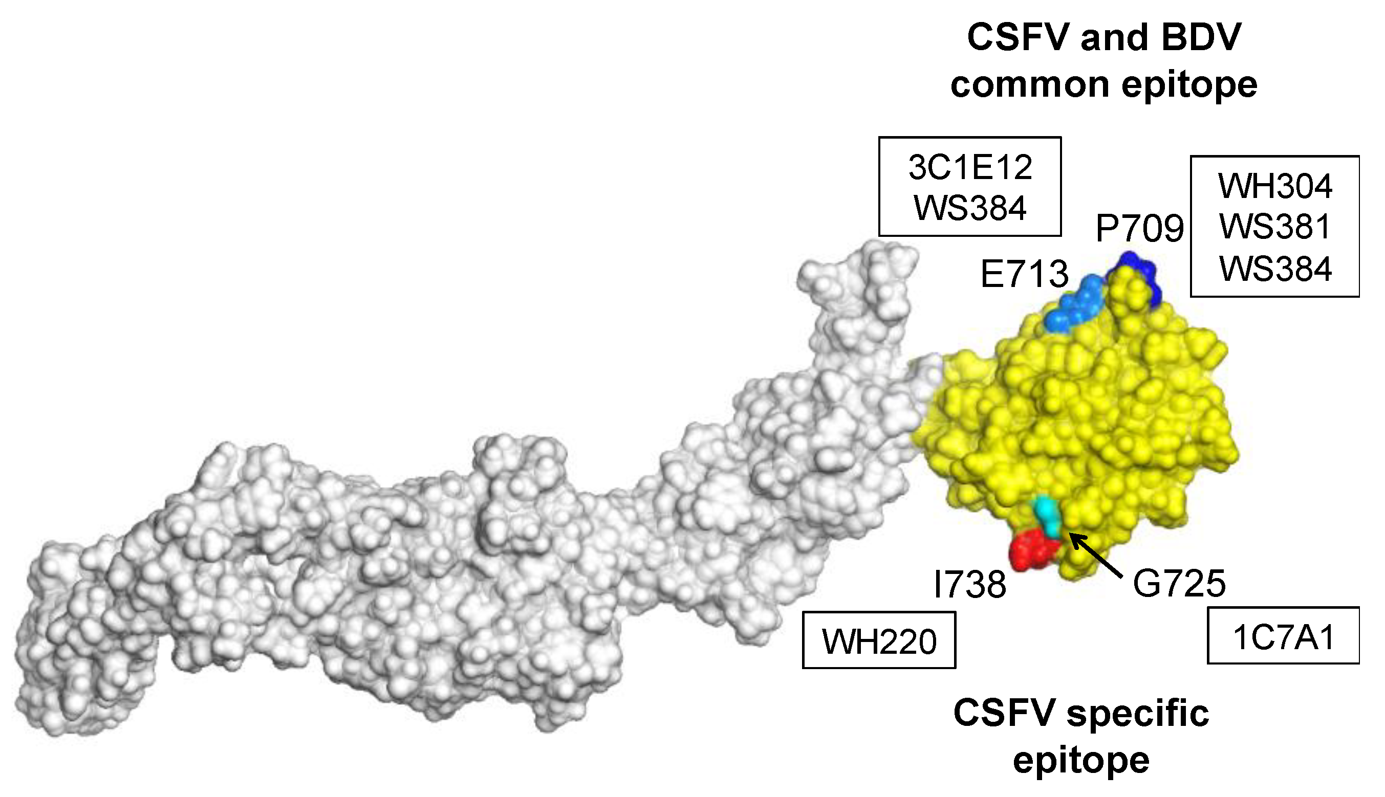 Viruses 13 01655 g004 Viruses 13 01655 g004