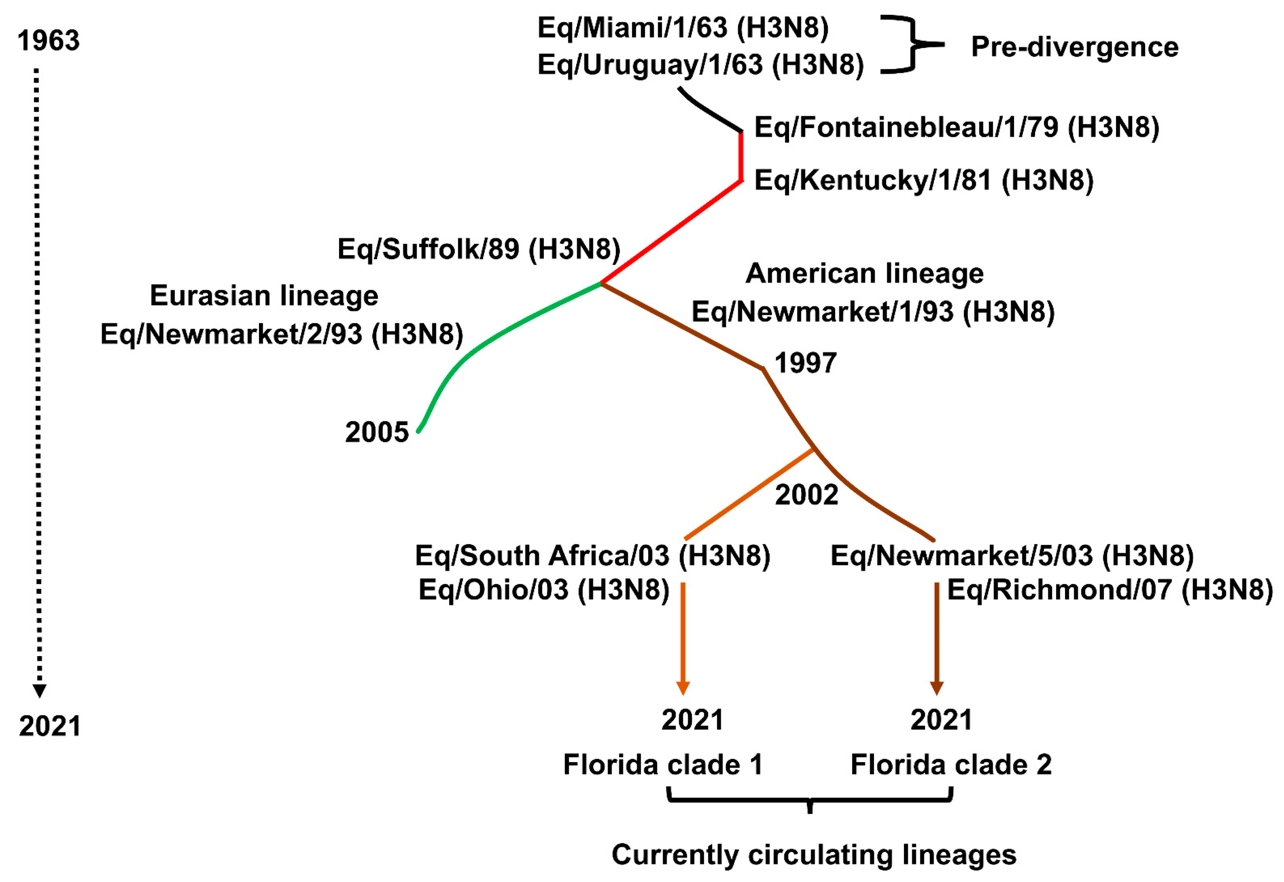 Viruses 13 01657 g004 Viruses 13 01657 g004