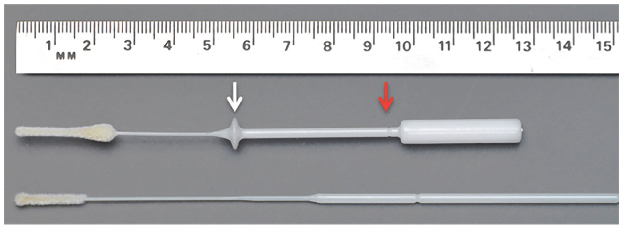 Viruses 13 01663 g001