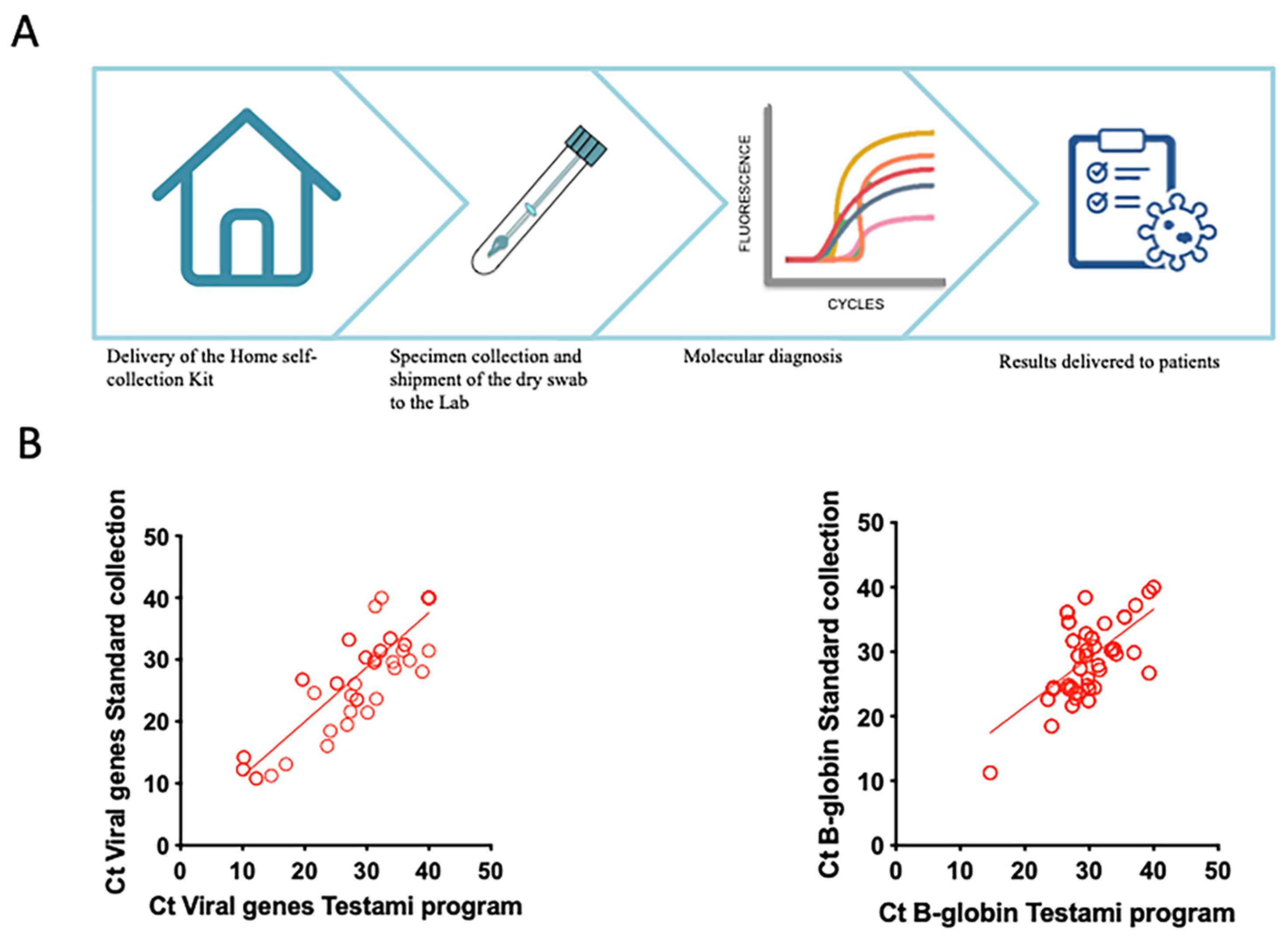 Viruses 13 01663 g004