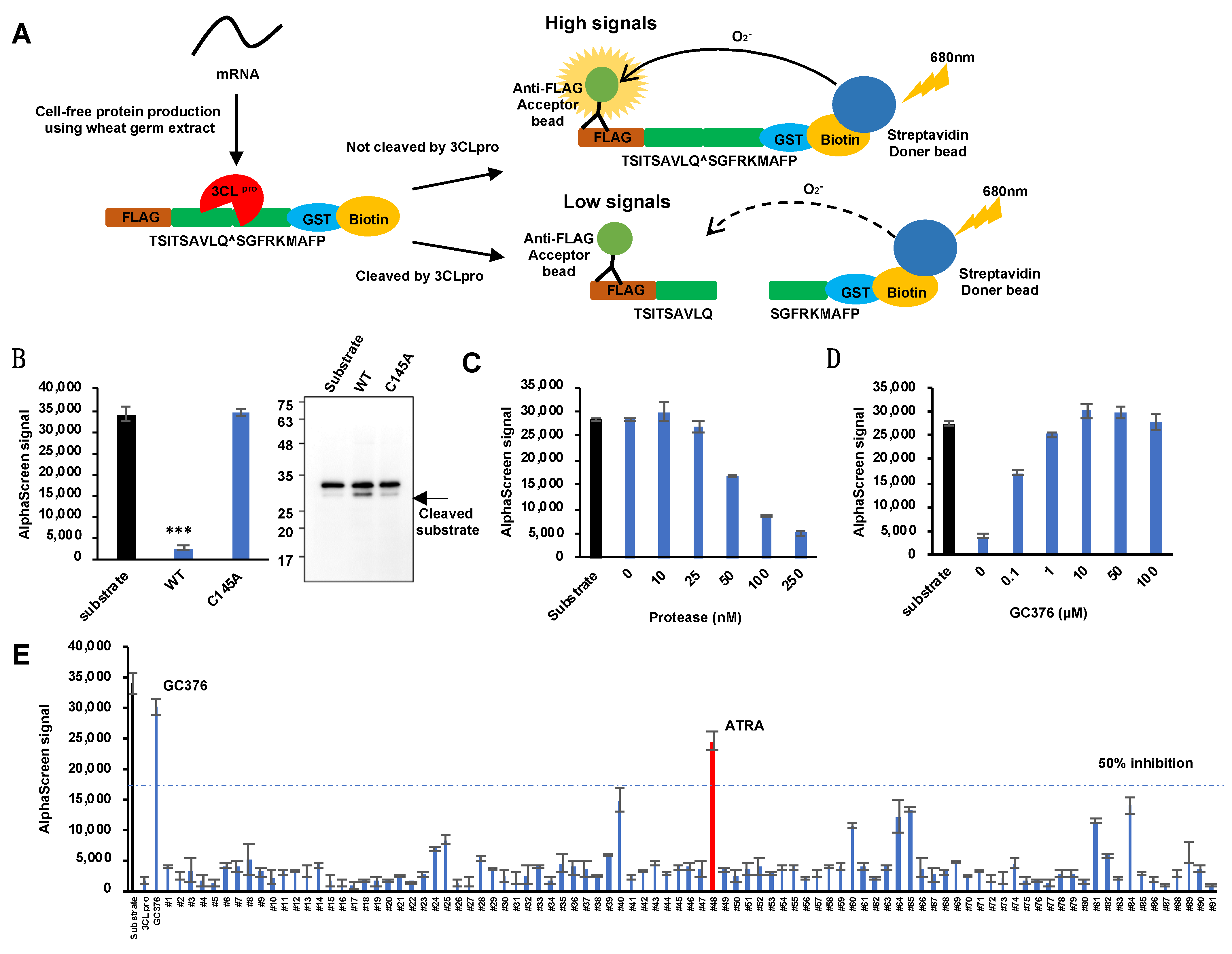 Viruses 13 01669 g001