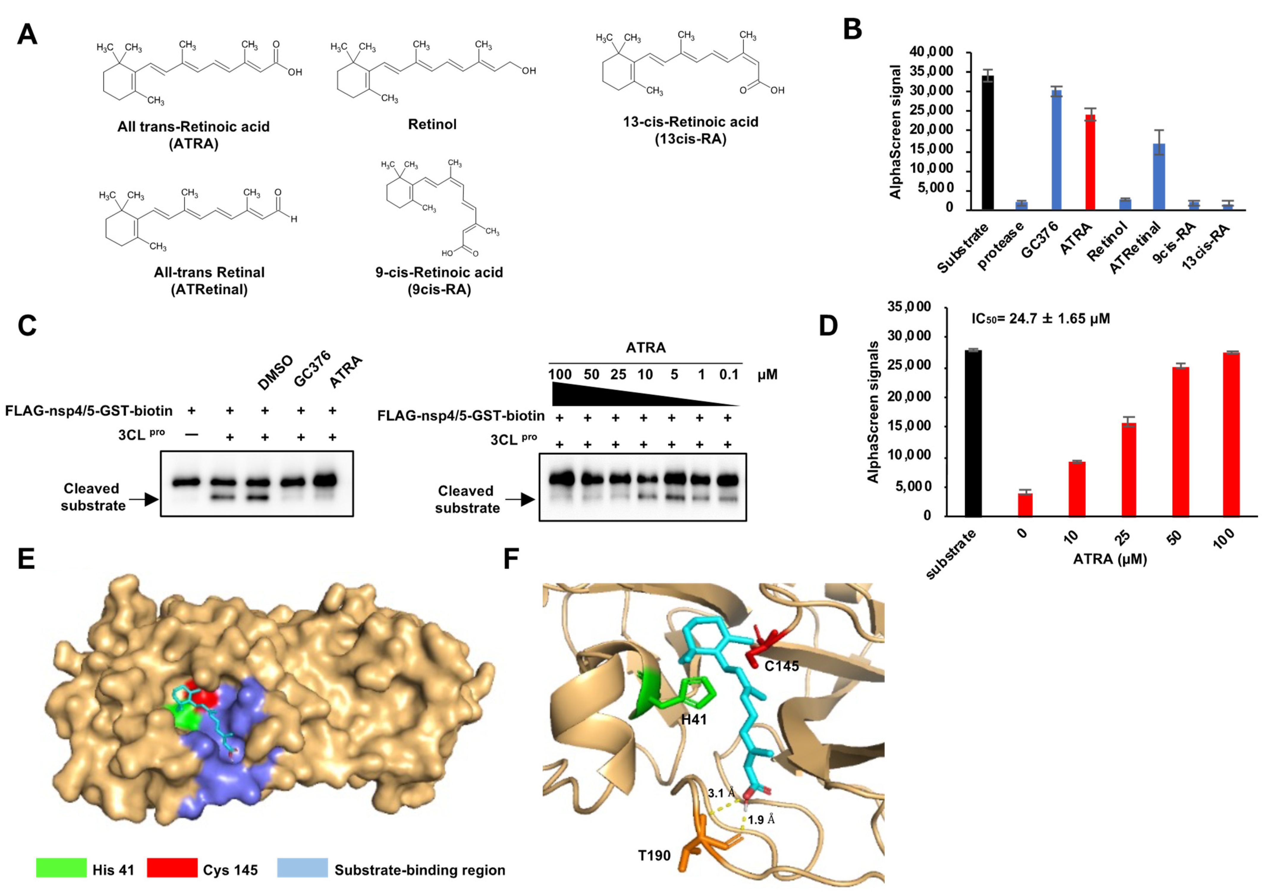 Viruses 13 01669 g002