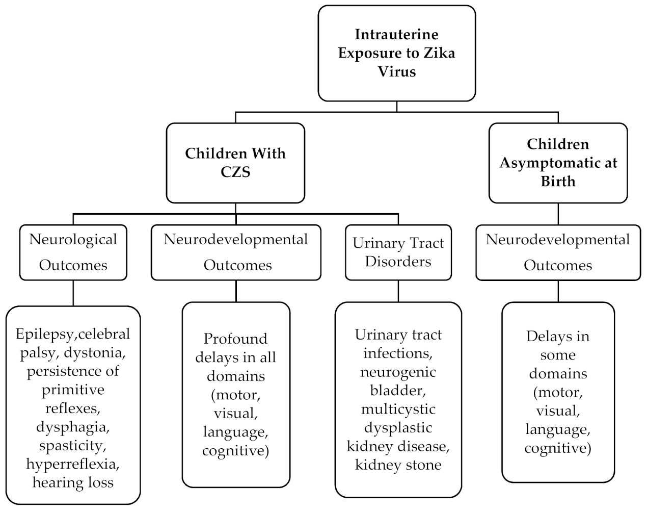 Viruses 13 01671 g002