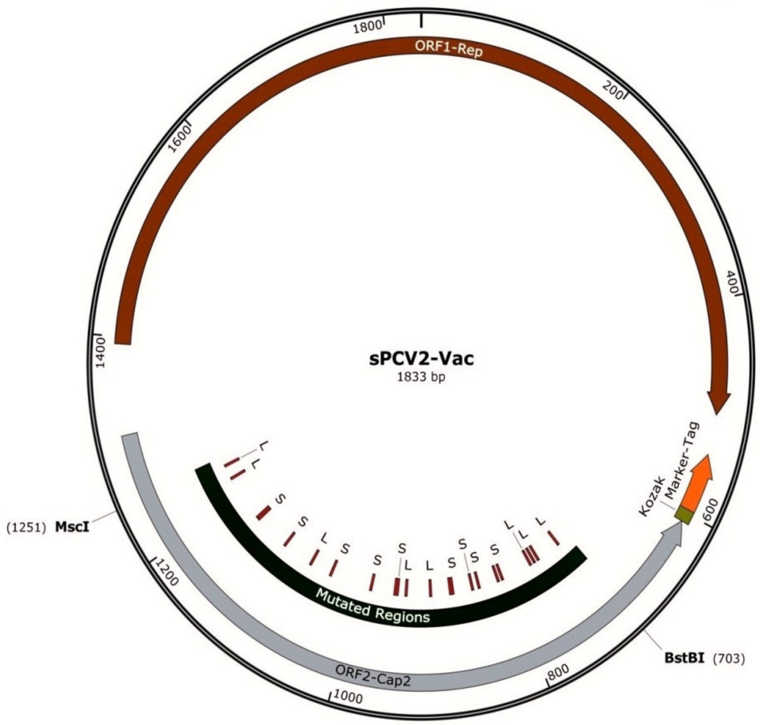 Viruses 13 01676 g001