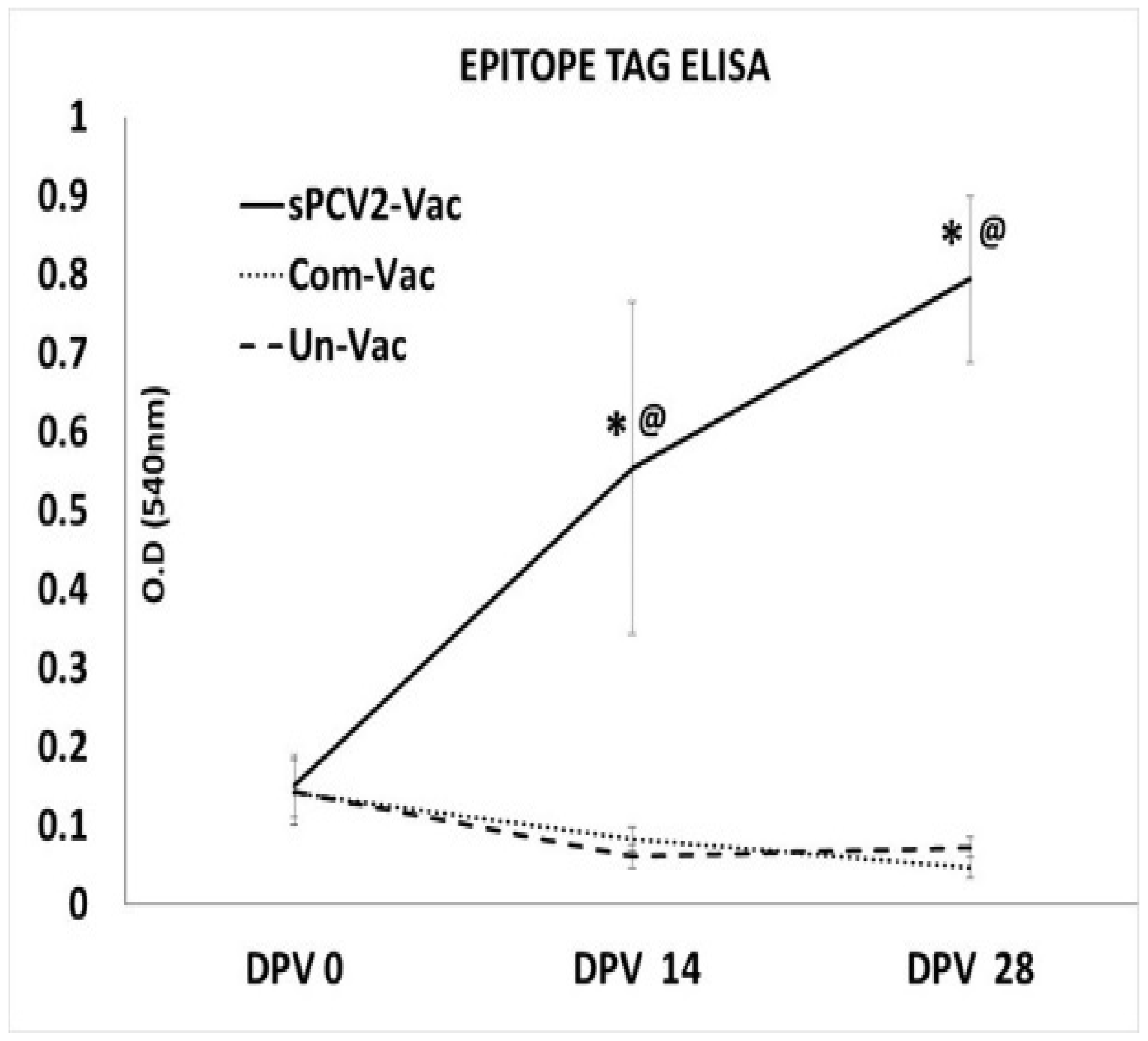 Viruses 13 01676 g005