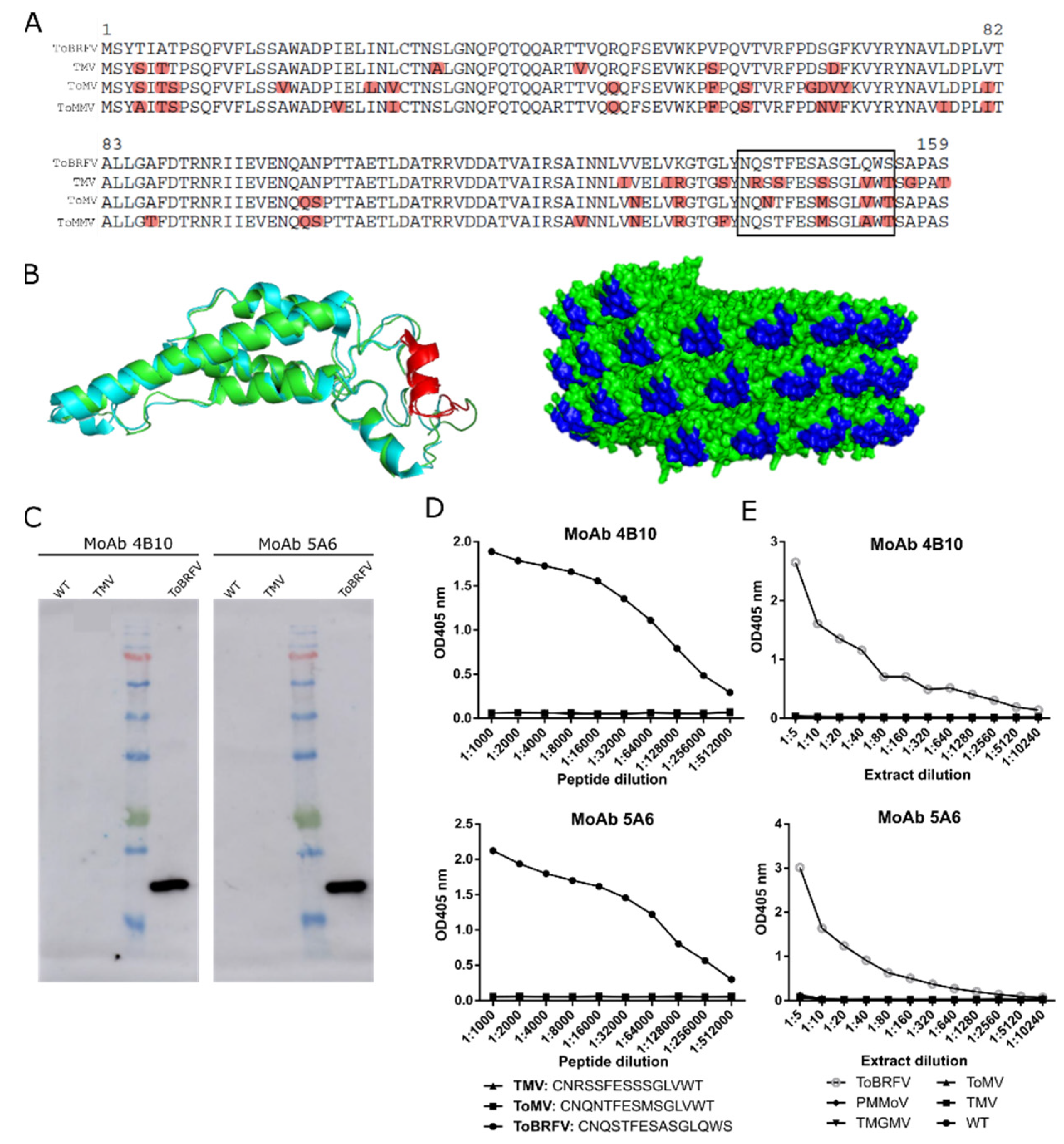 Viruses 13 01680 g002