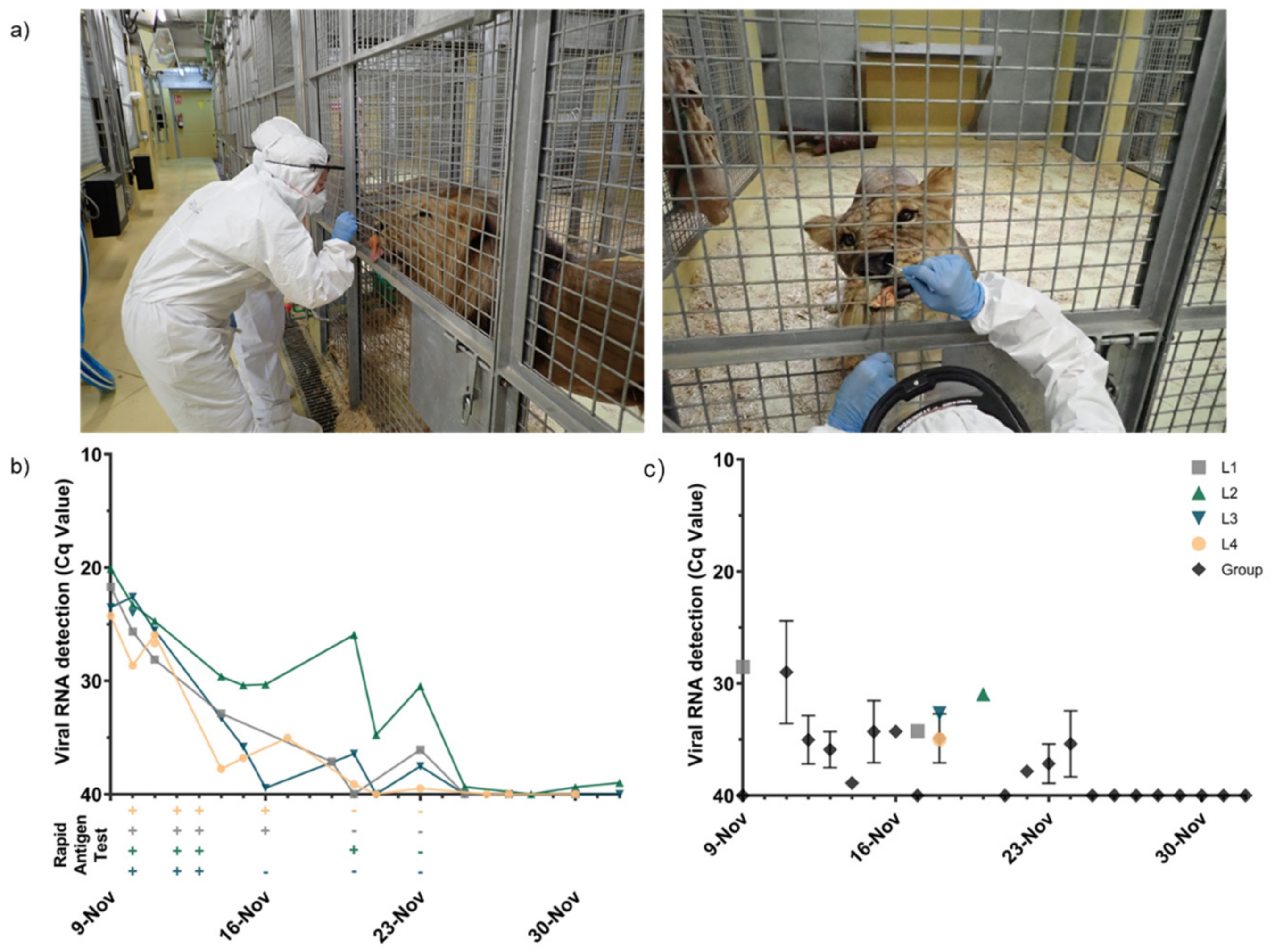 Viruses 13 01683 g002