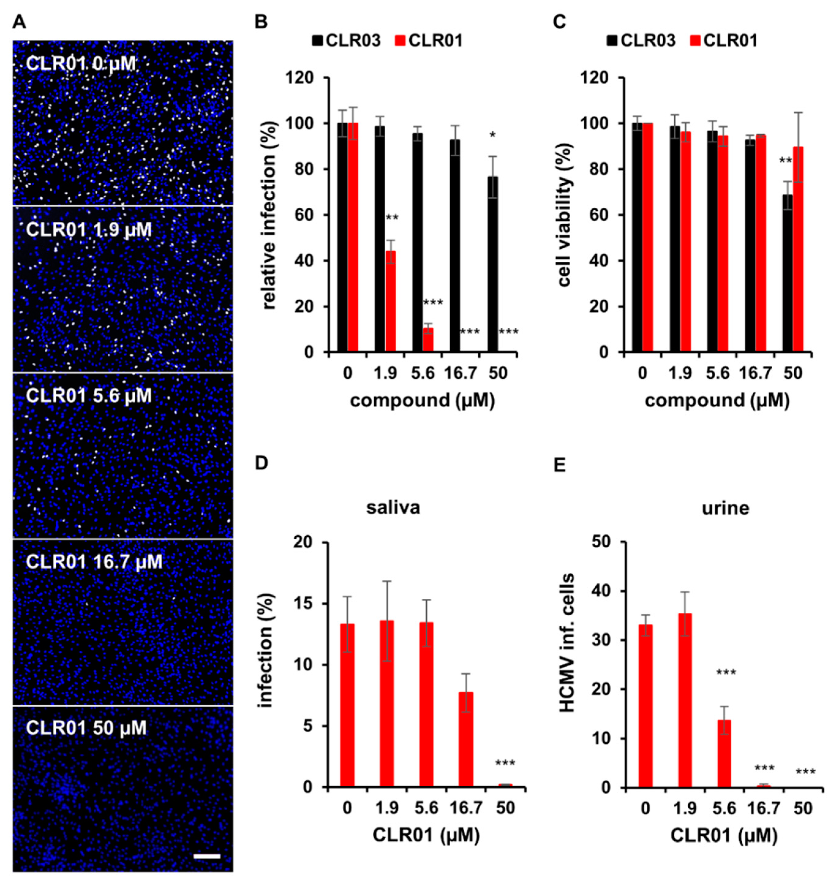 Viruses 13 01685 g001
