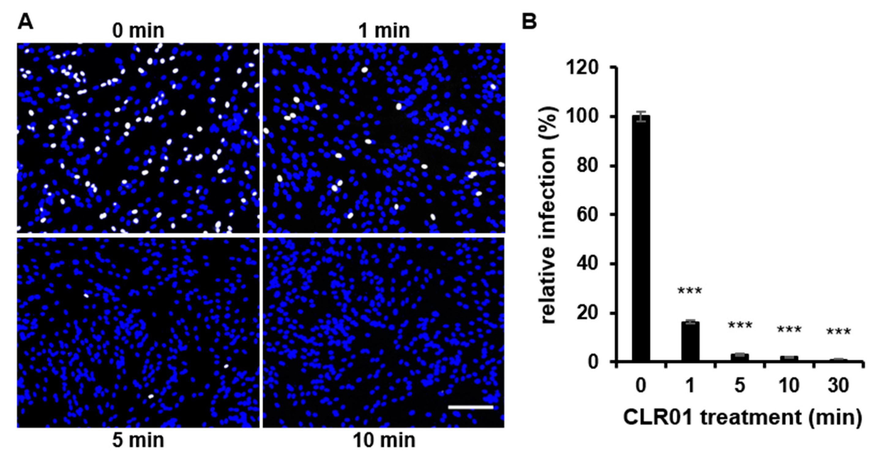 Viruses 13 01685 g004