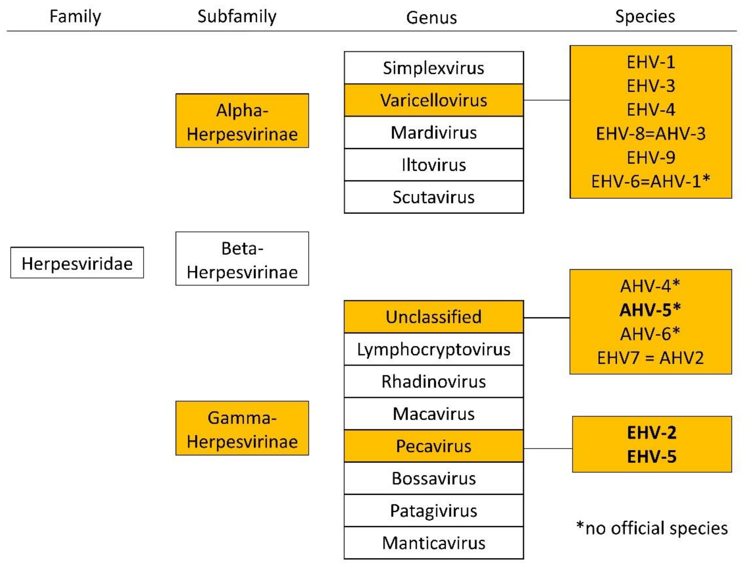 Viruses 13 01686 g001