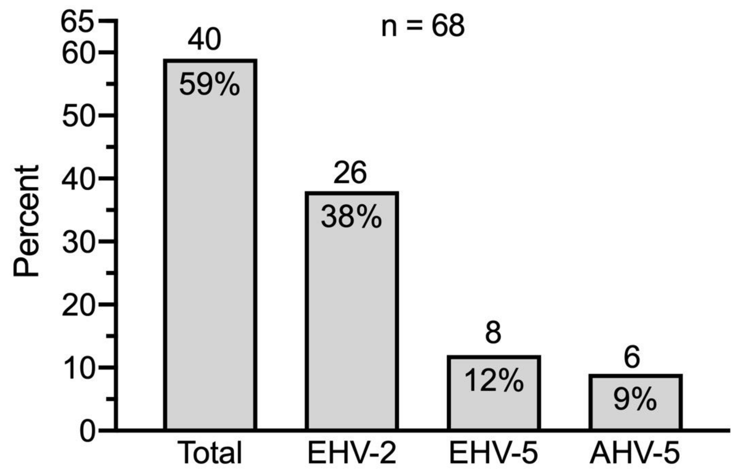 Viruses 13 01686 g003