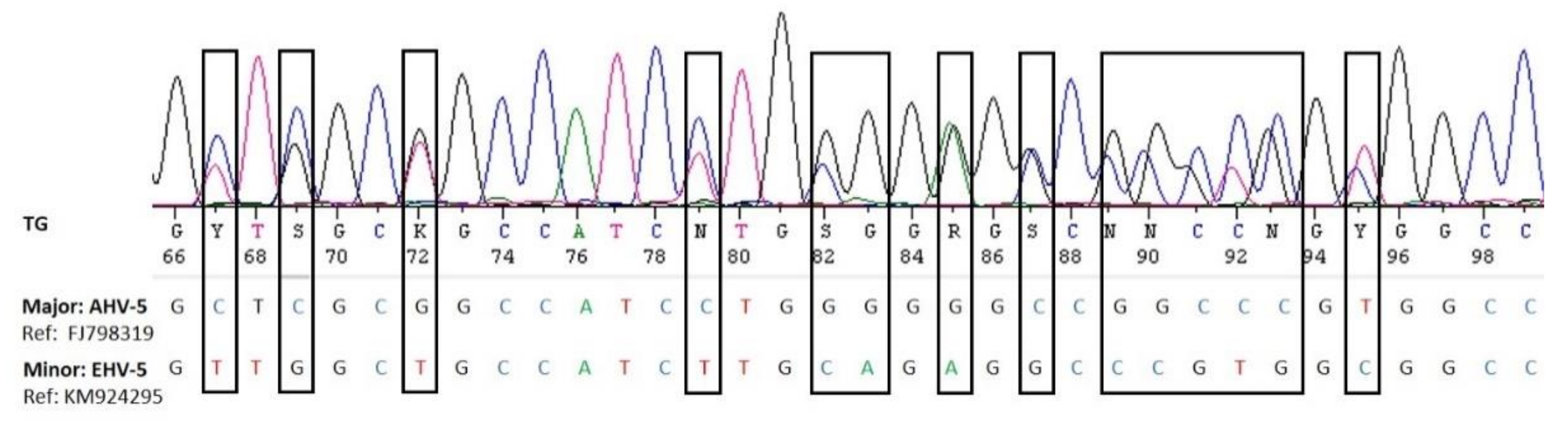 Viruses 13 01686 g004