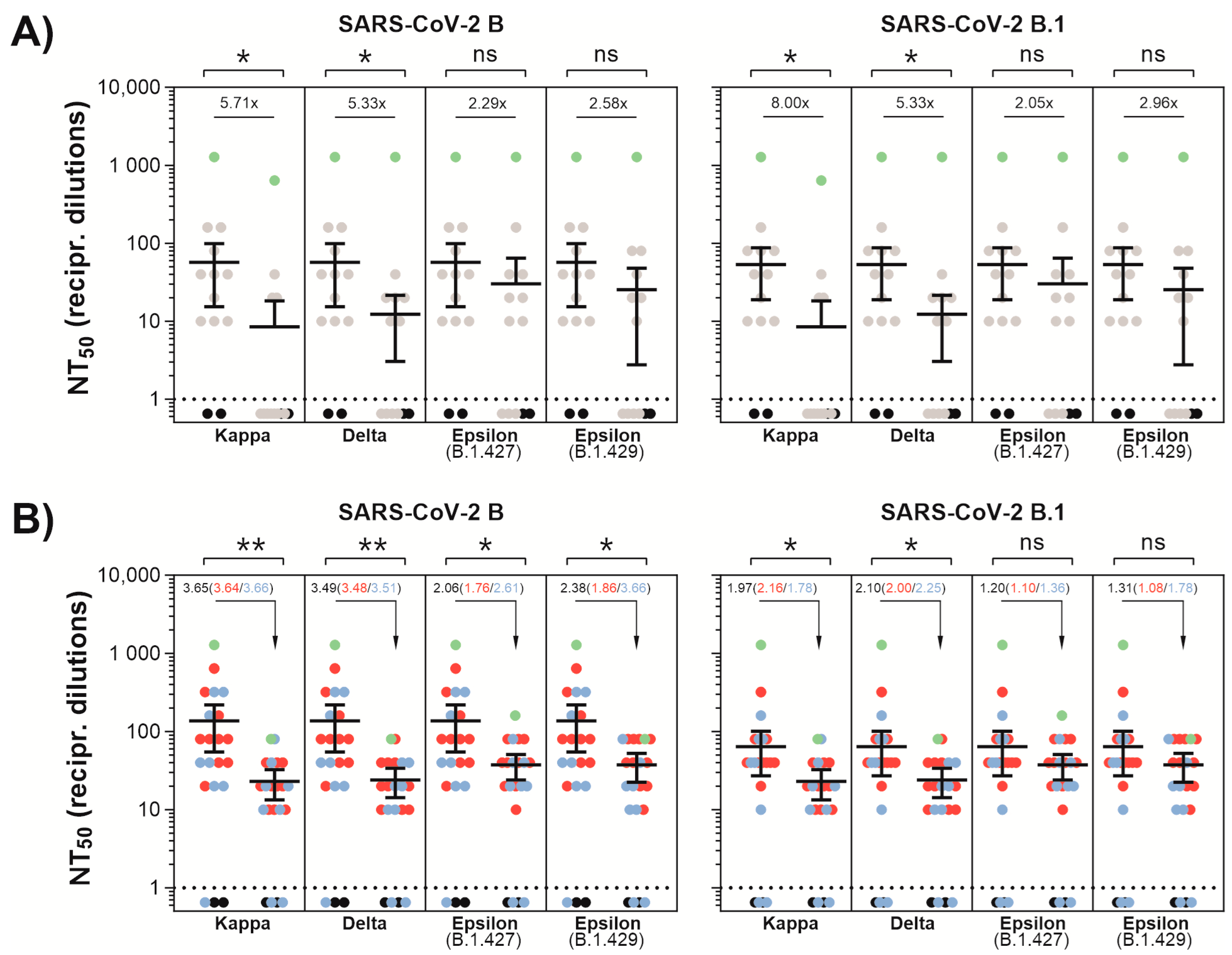 Viruses 13 01693 g001