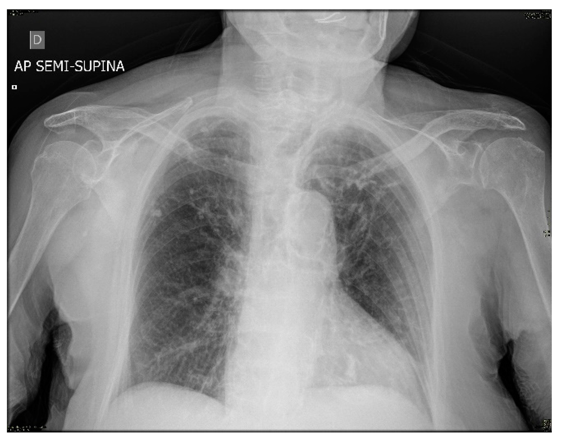 Viruses 13 01704 g001