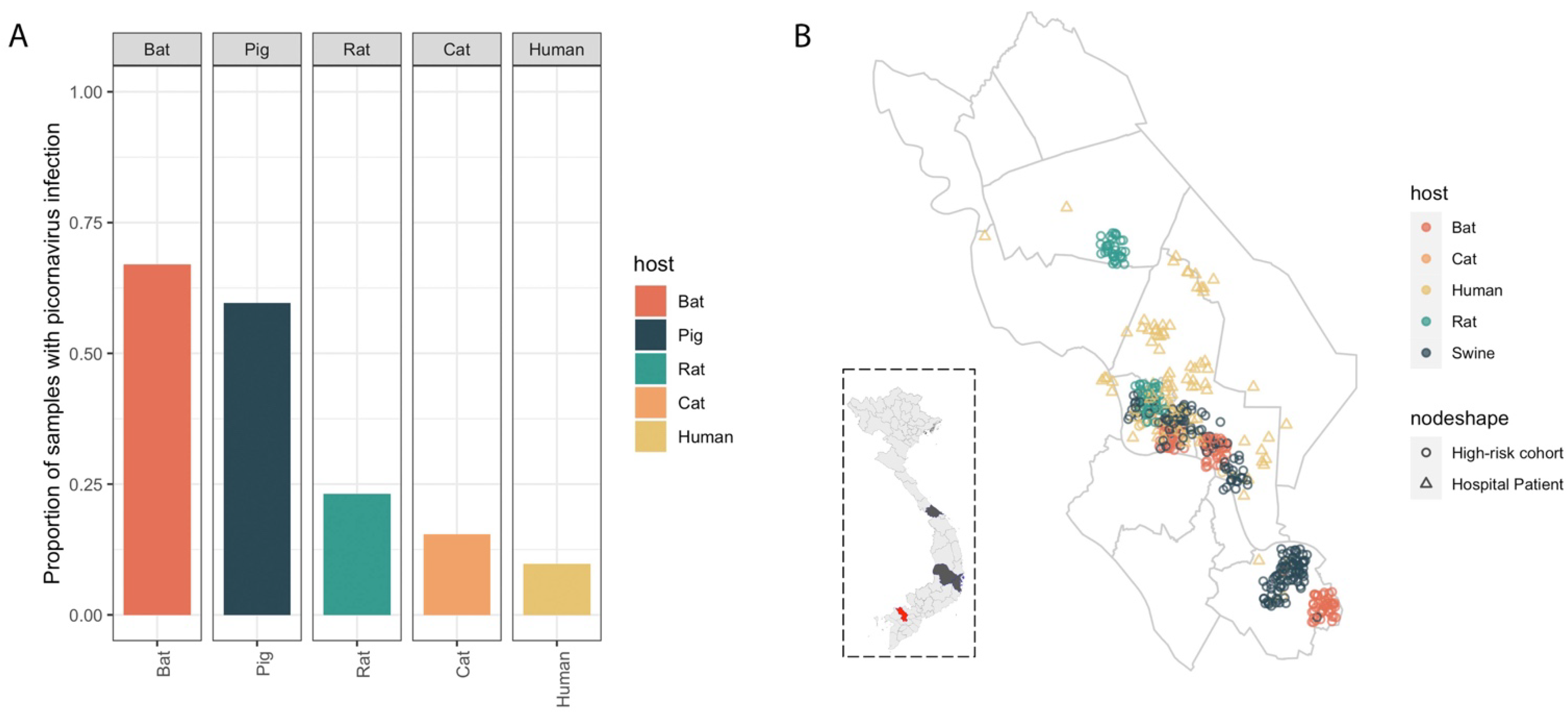 Viruses 13 01709 g001