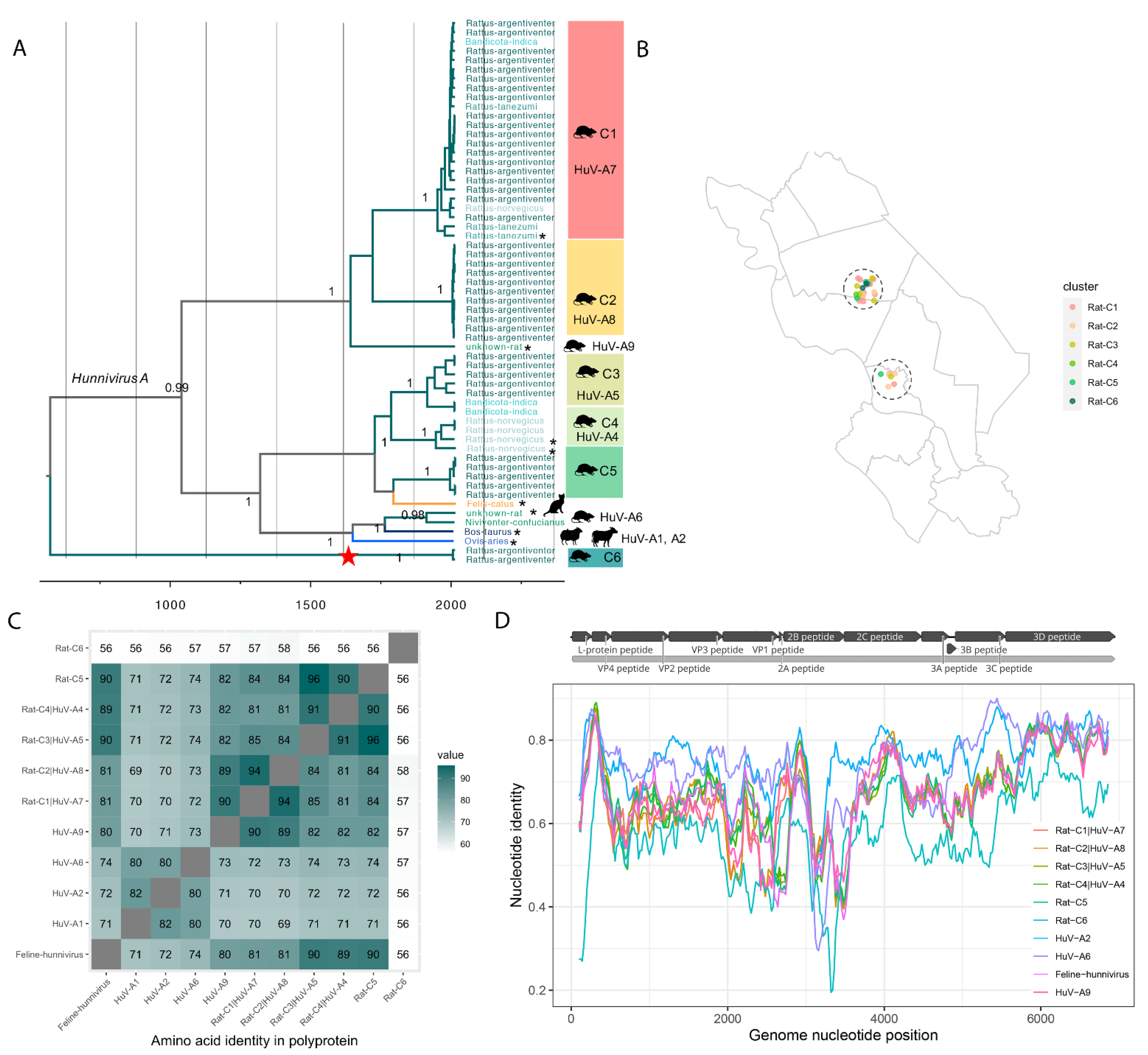 Viruses 13 01709 g005