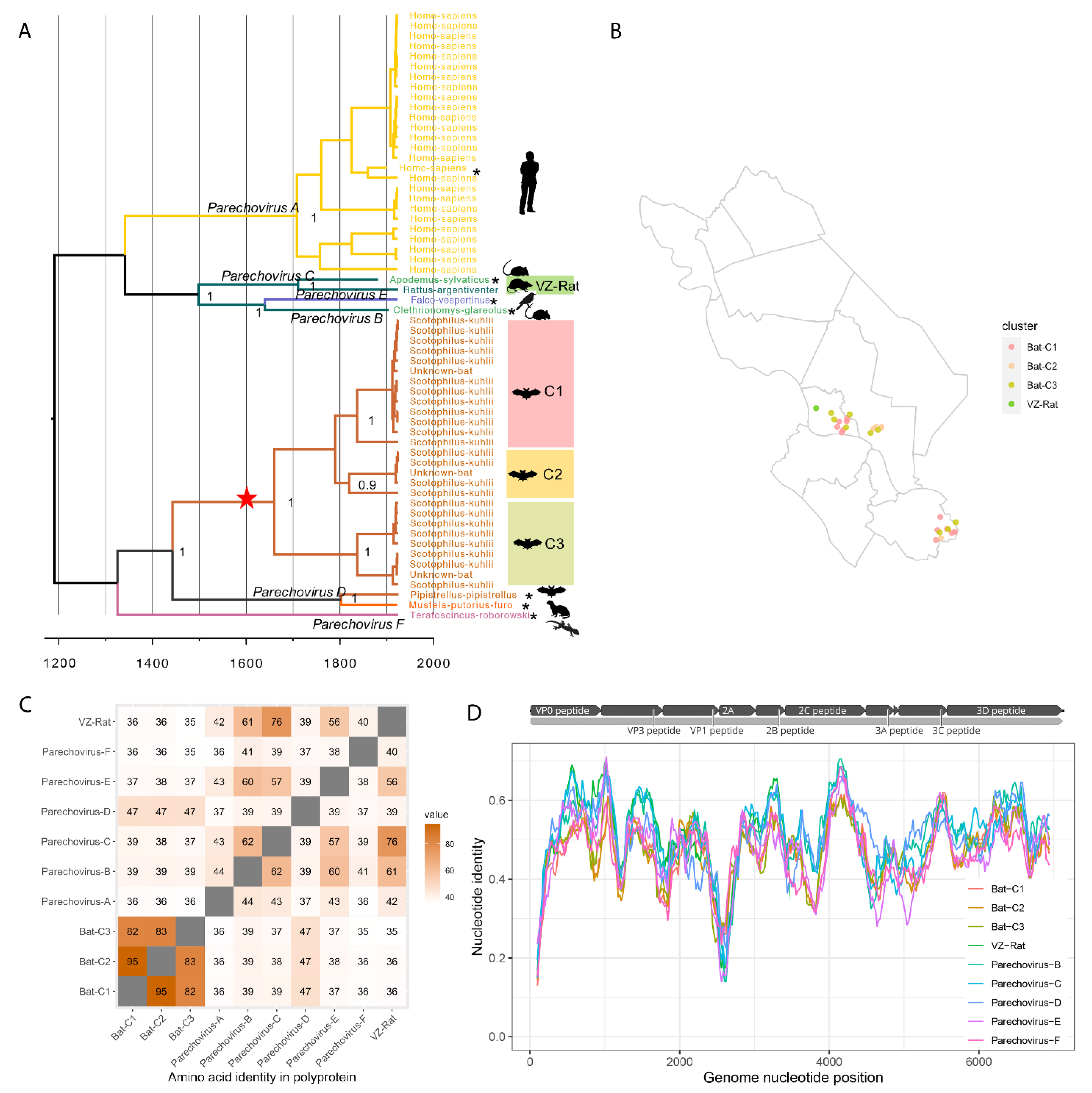 Viruses 13 01709 g006