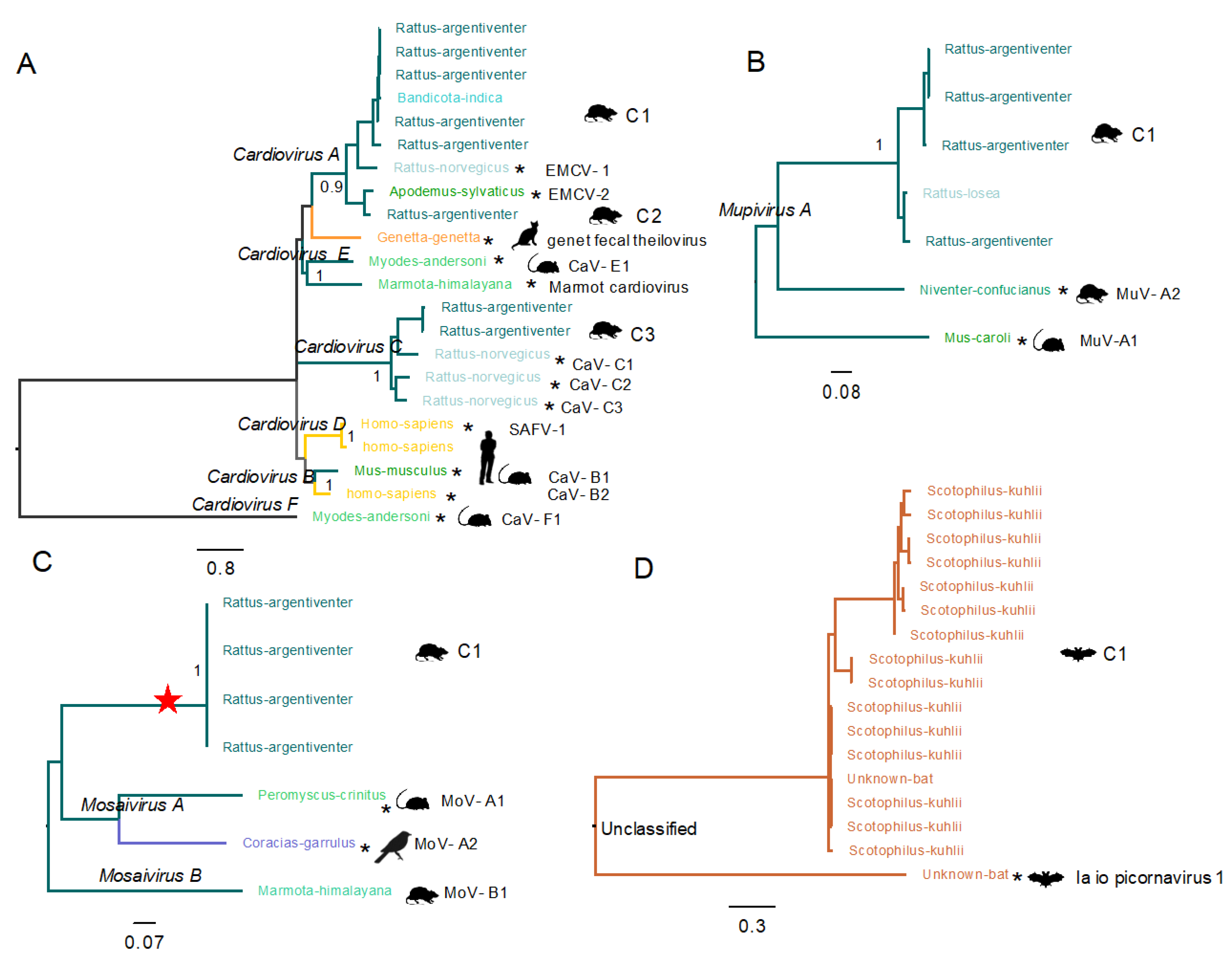 Viruses 13 01709 g007