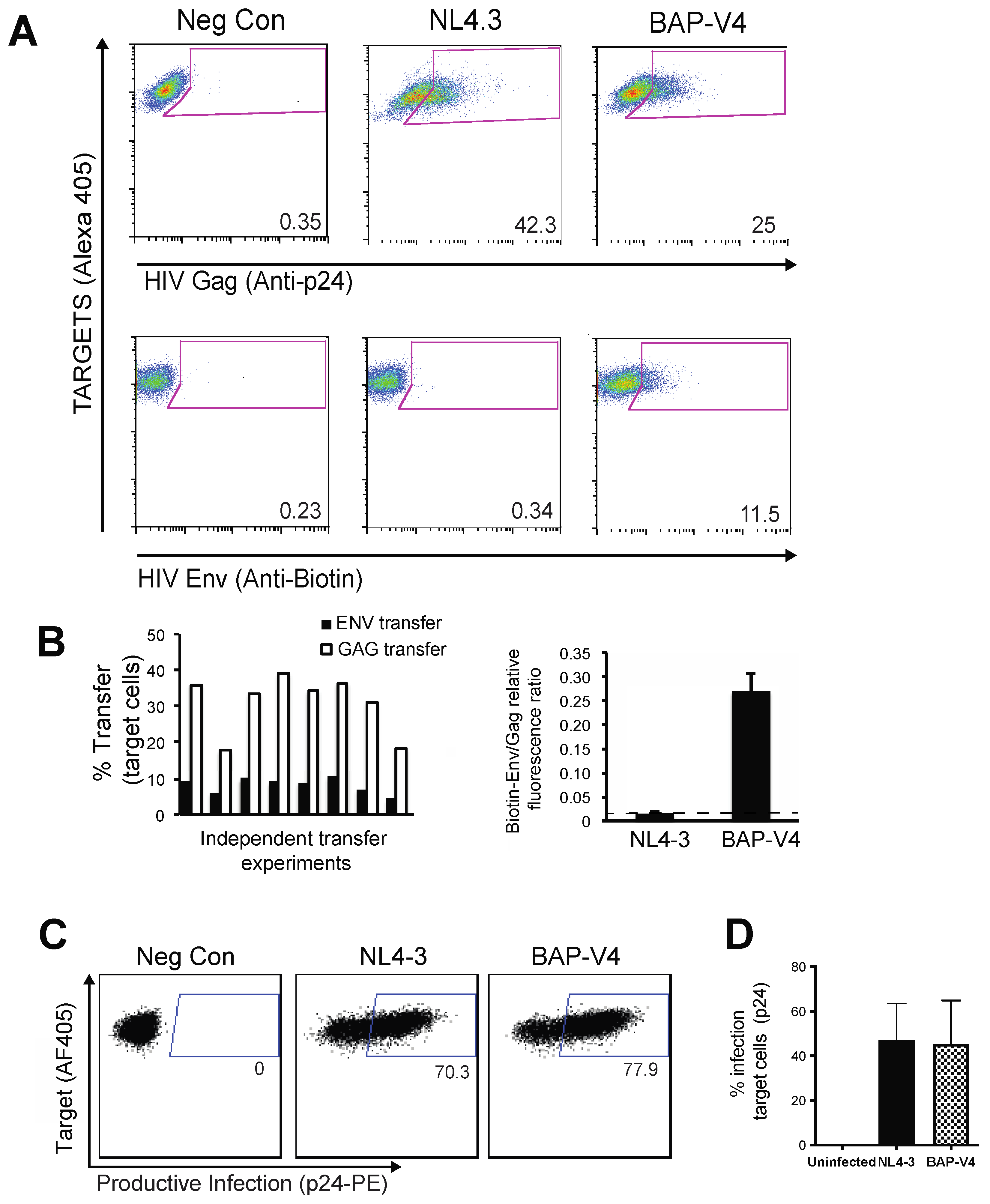 Viruses 13 01729 g002