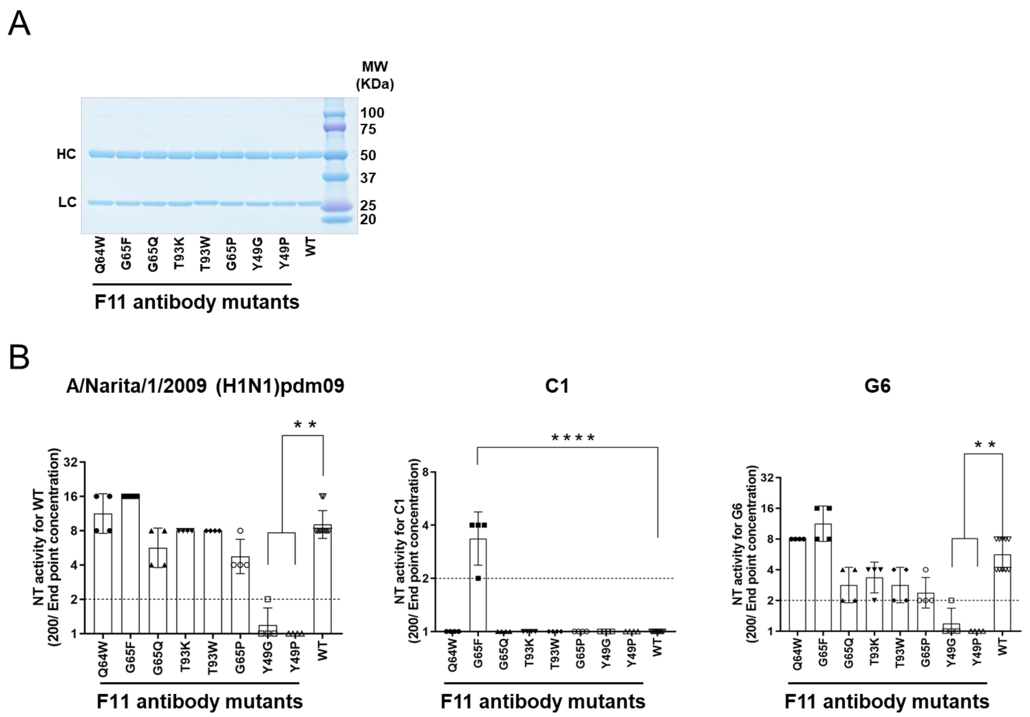 Viruses 13 01733 g006