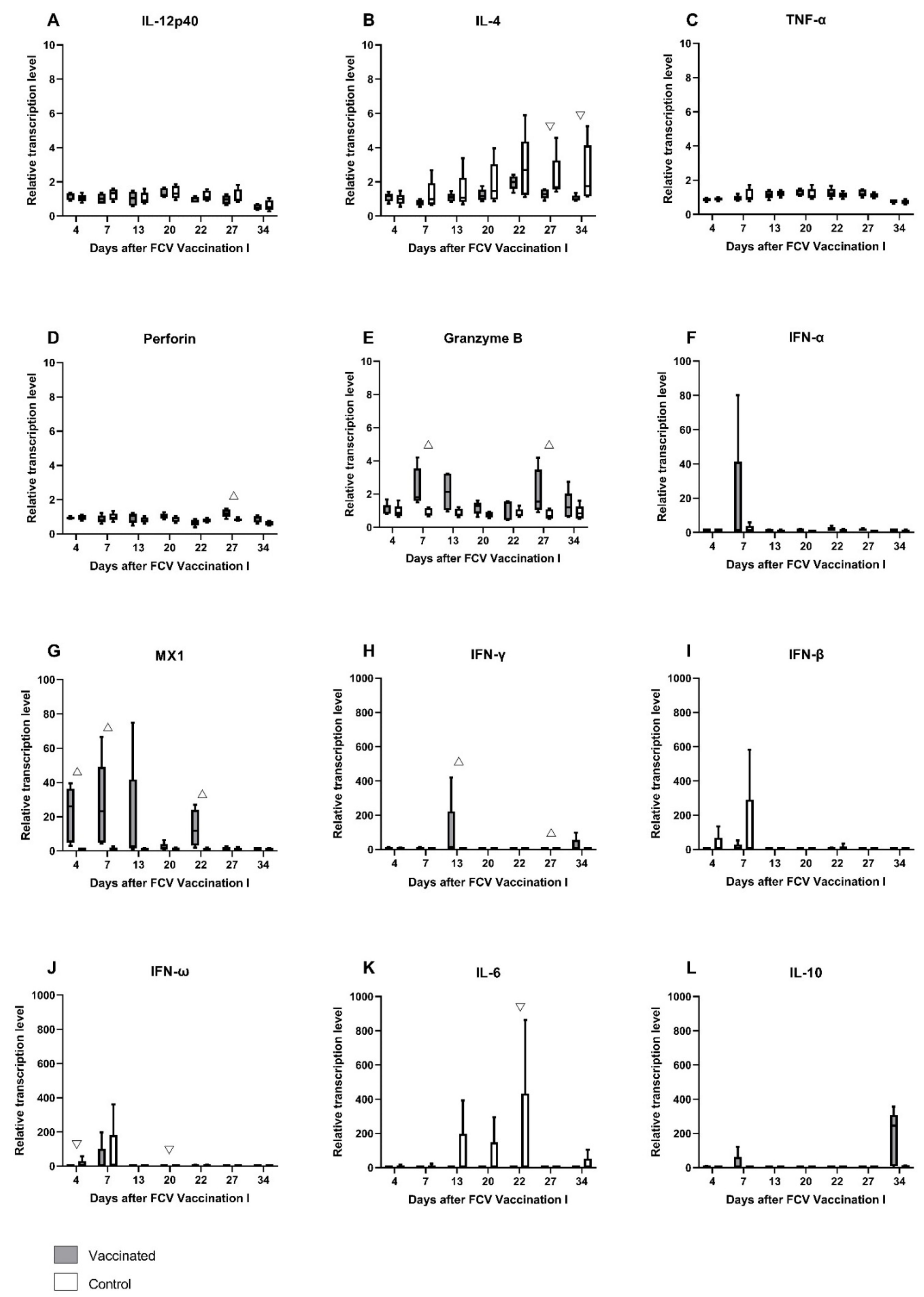 Viruses 13 01736 g003