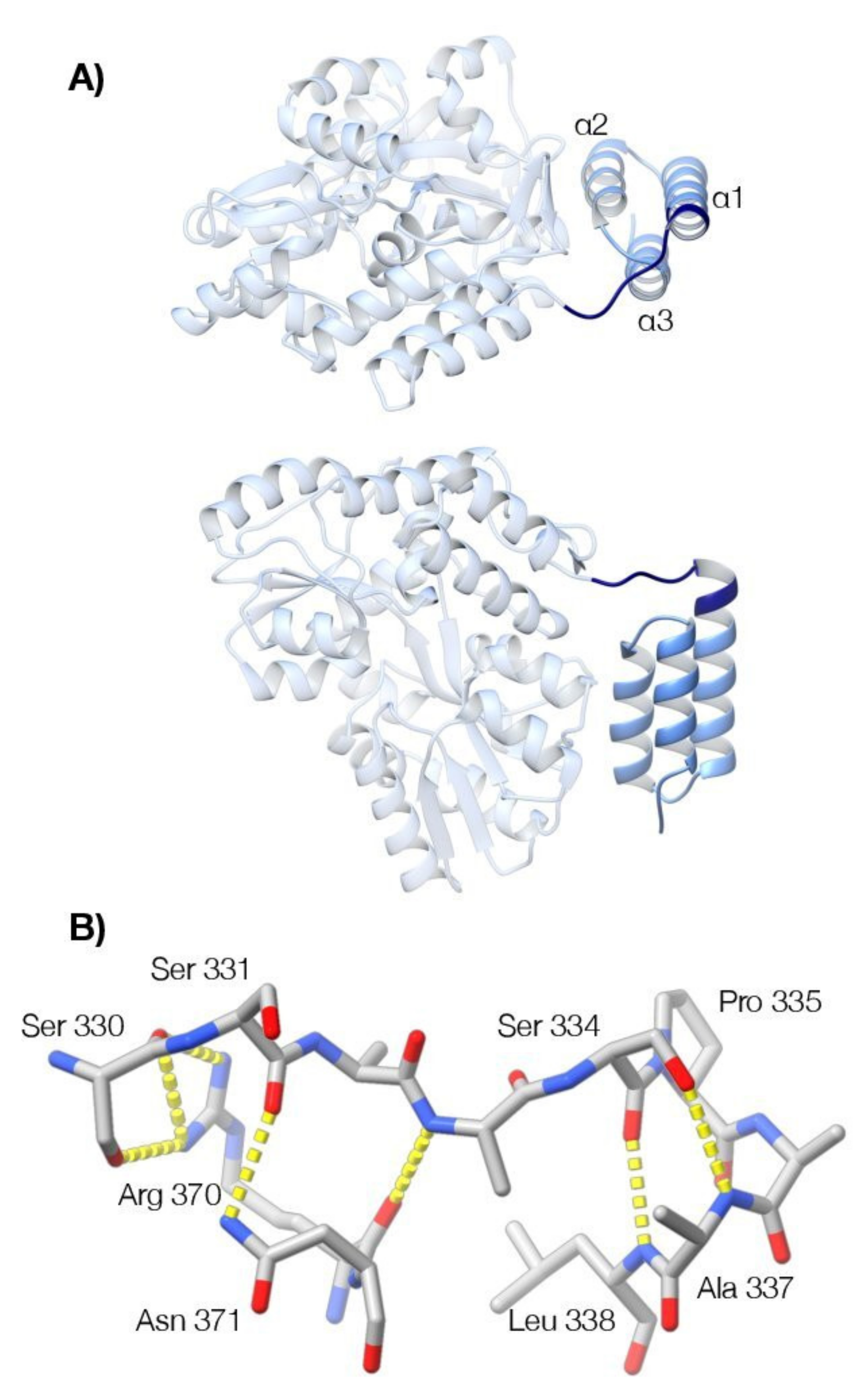 Viruses 13 01737 g007