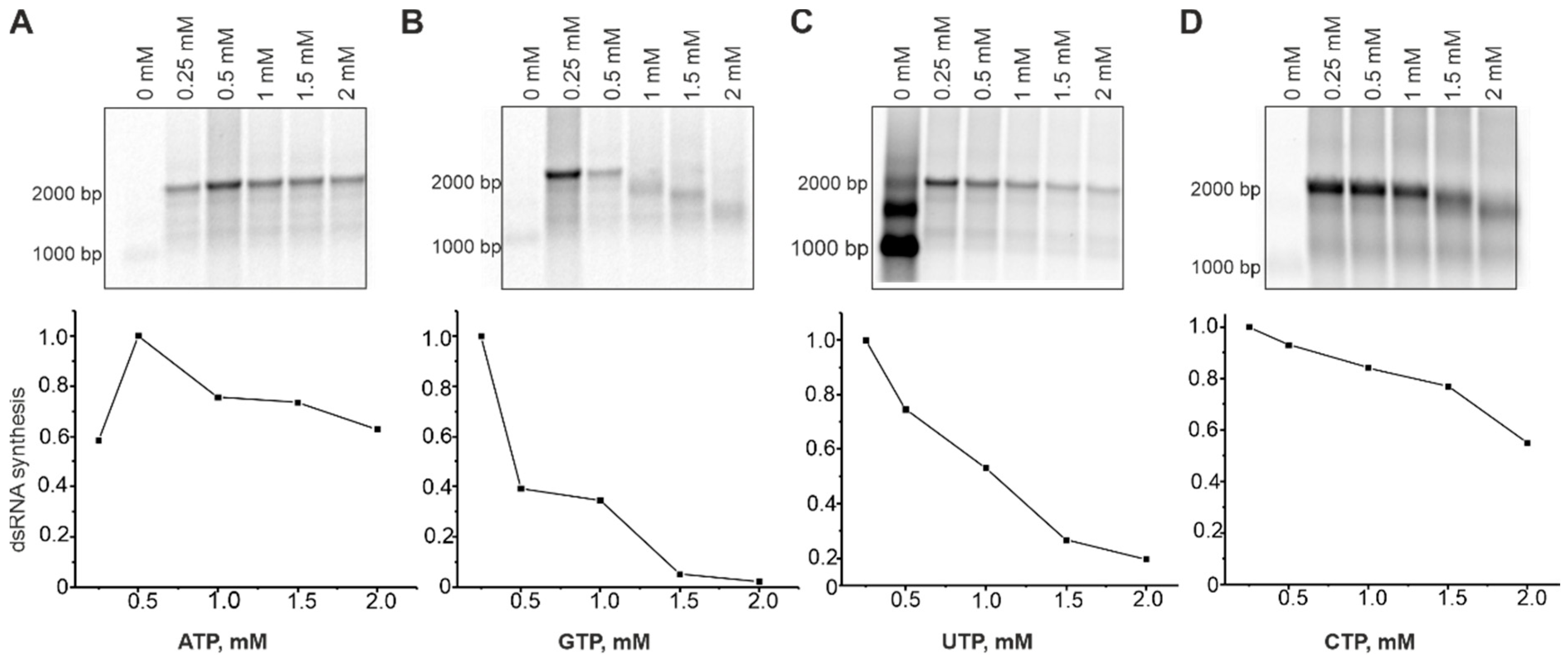 Viruses 13 01738 g004