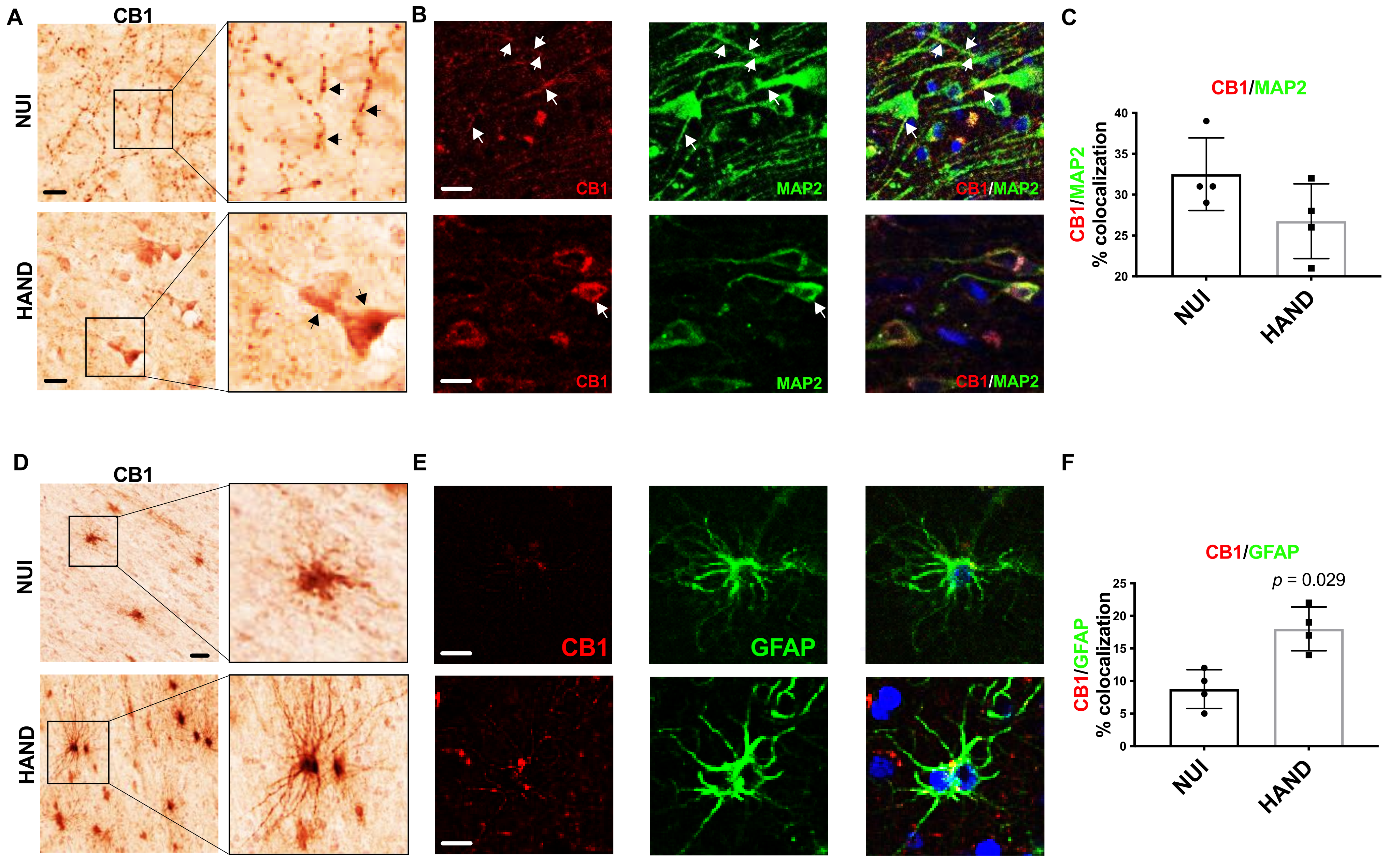 Viruses 13 01742 g004