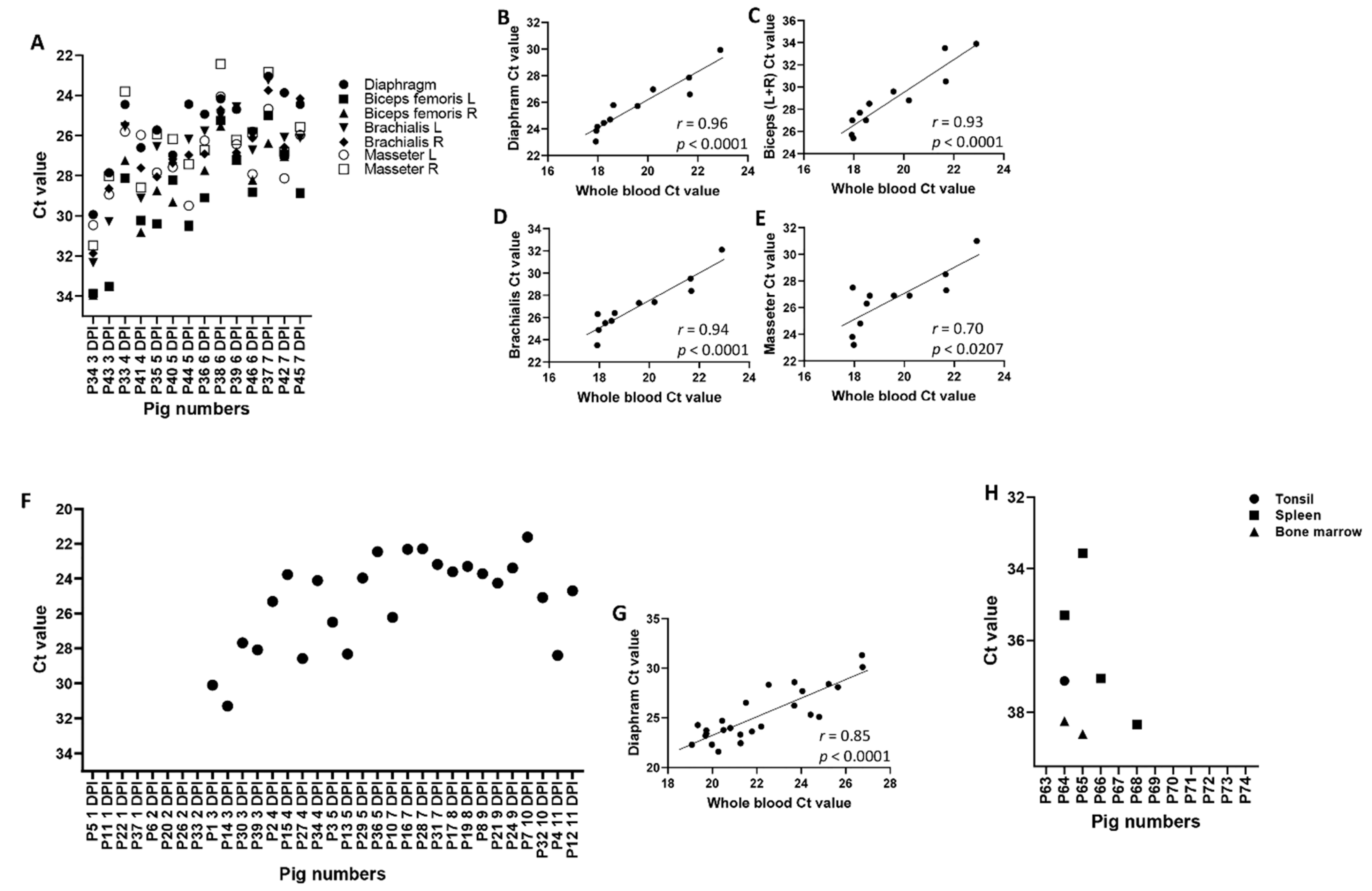Viruses 13 01744 g003