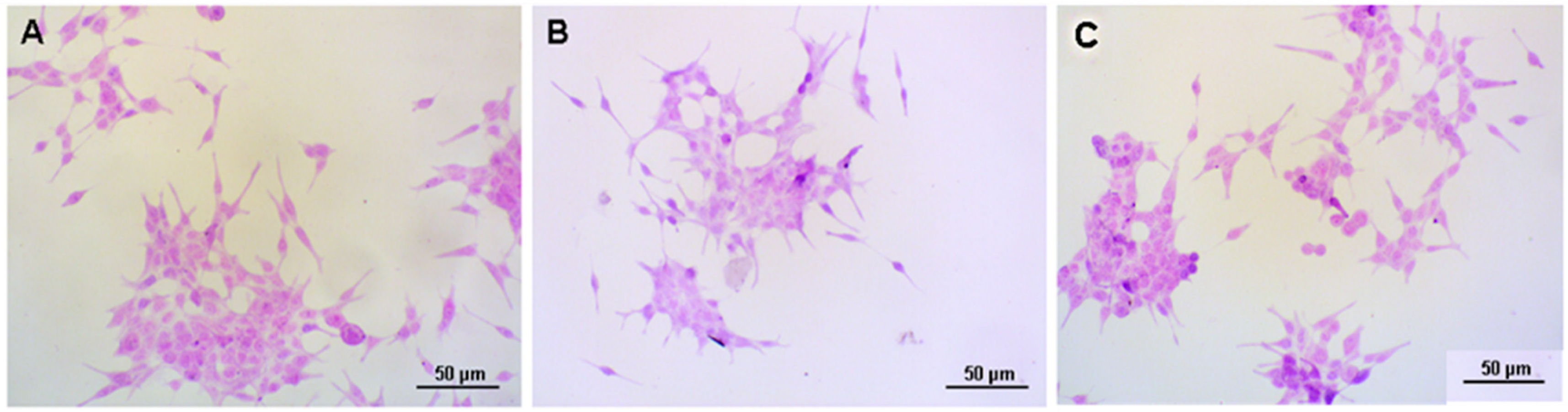 Viruses 13 01754 g001