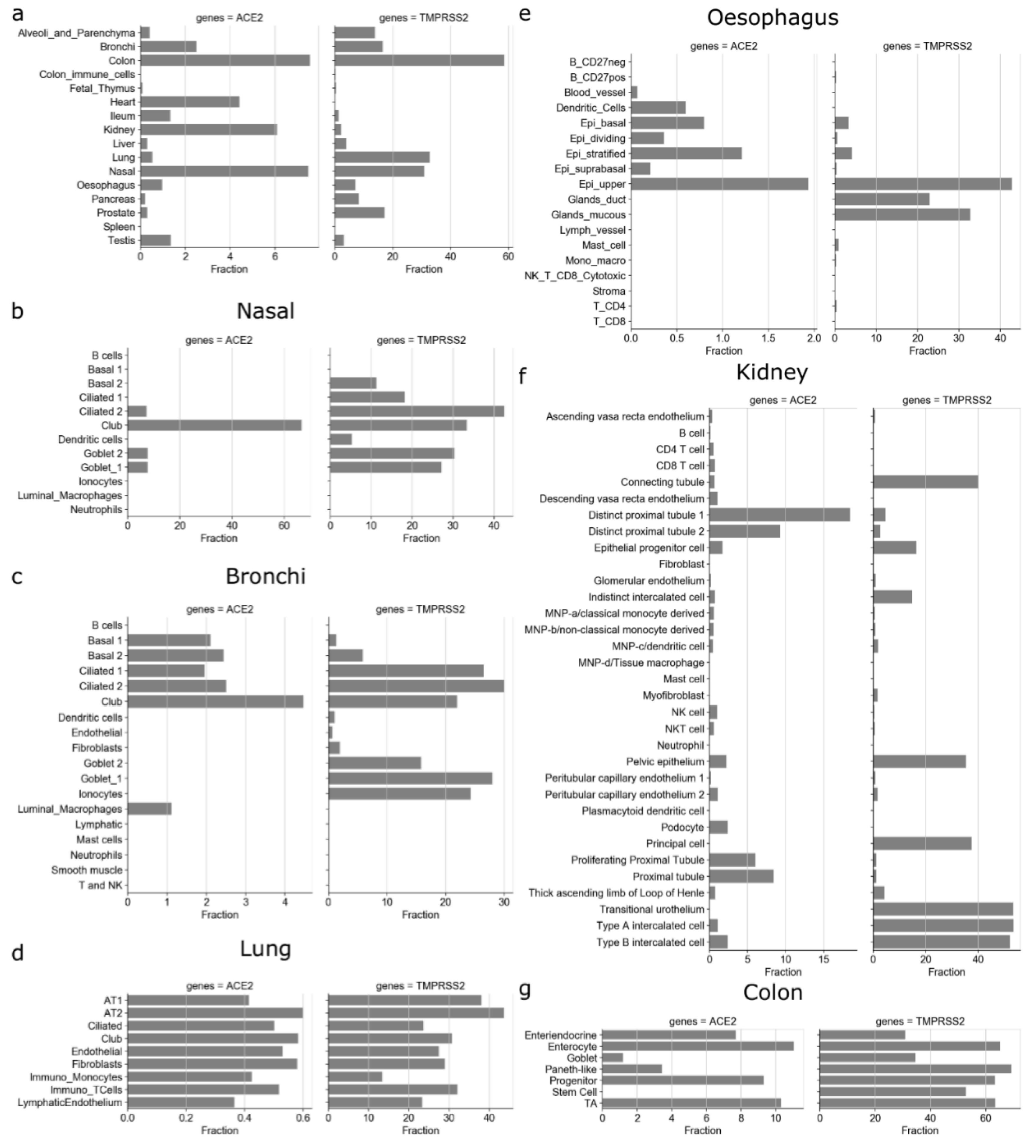 Viruses 13 01757 g001