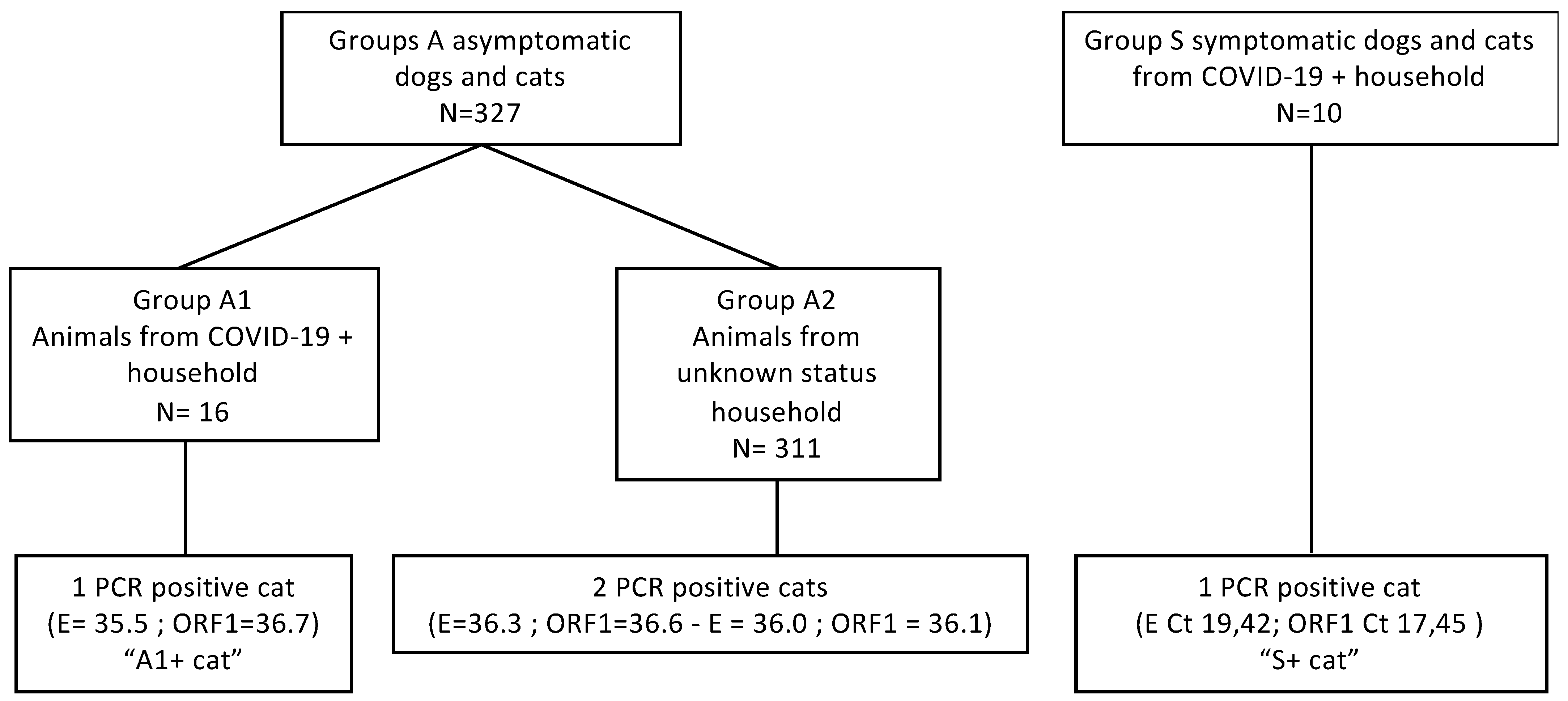 Viruses 13 01759 g001
